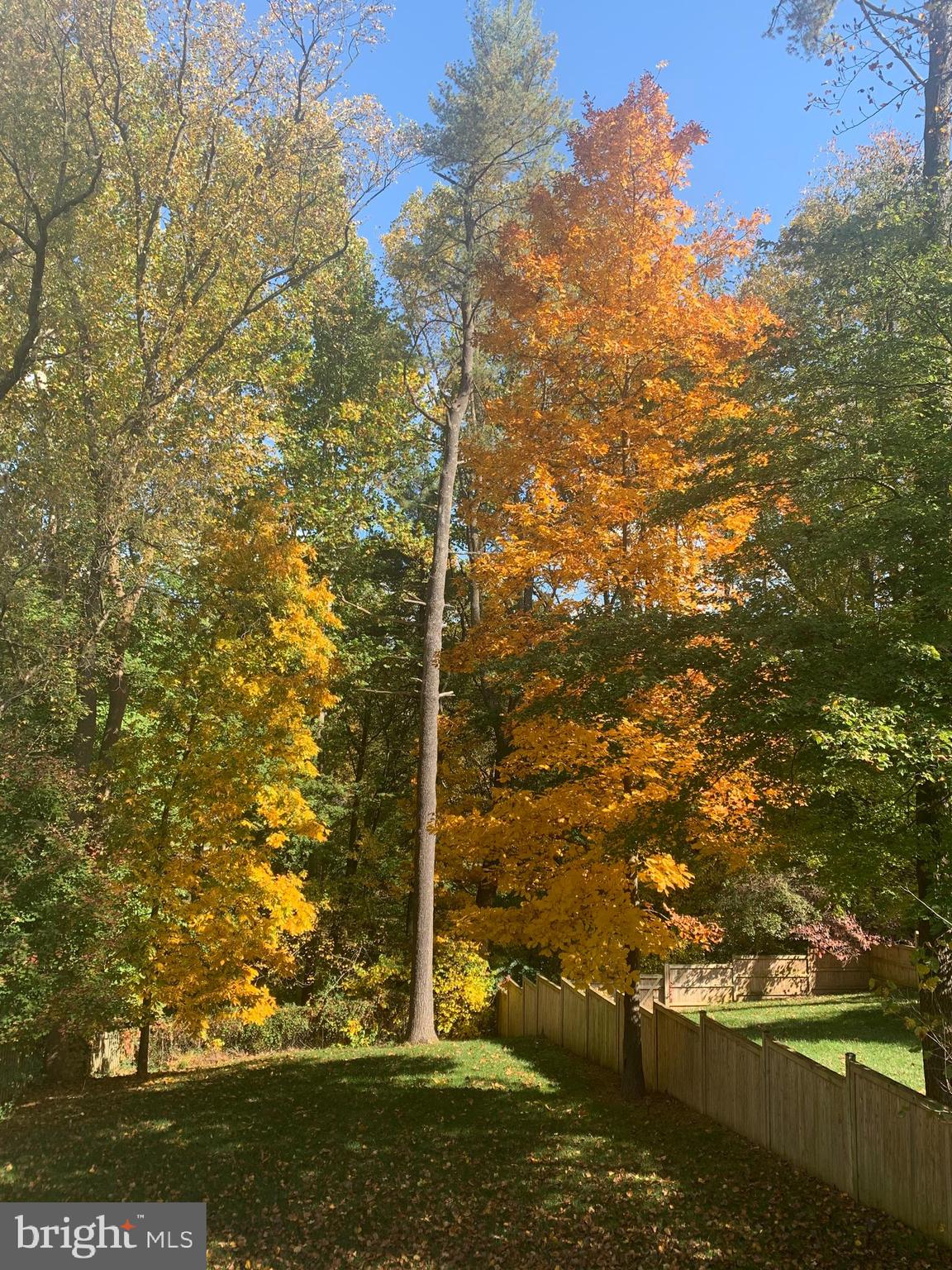 VIENNA WOODS - Residential