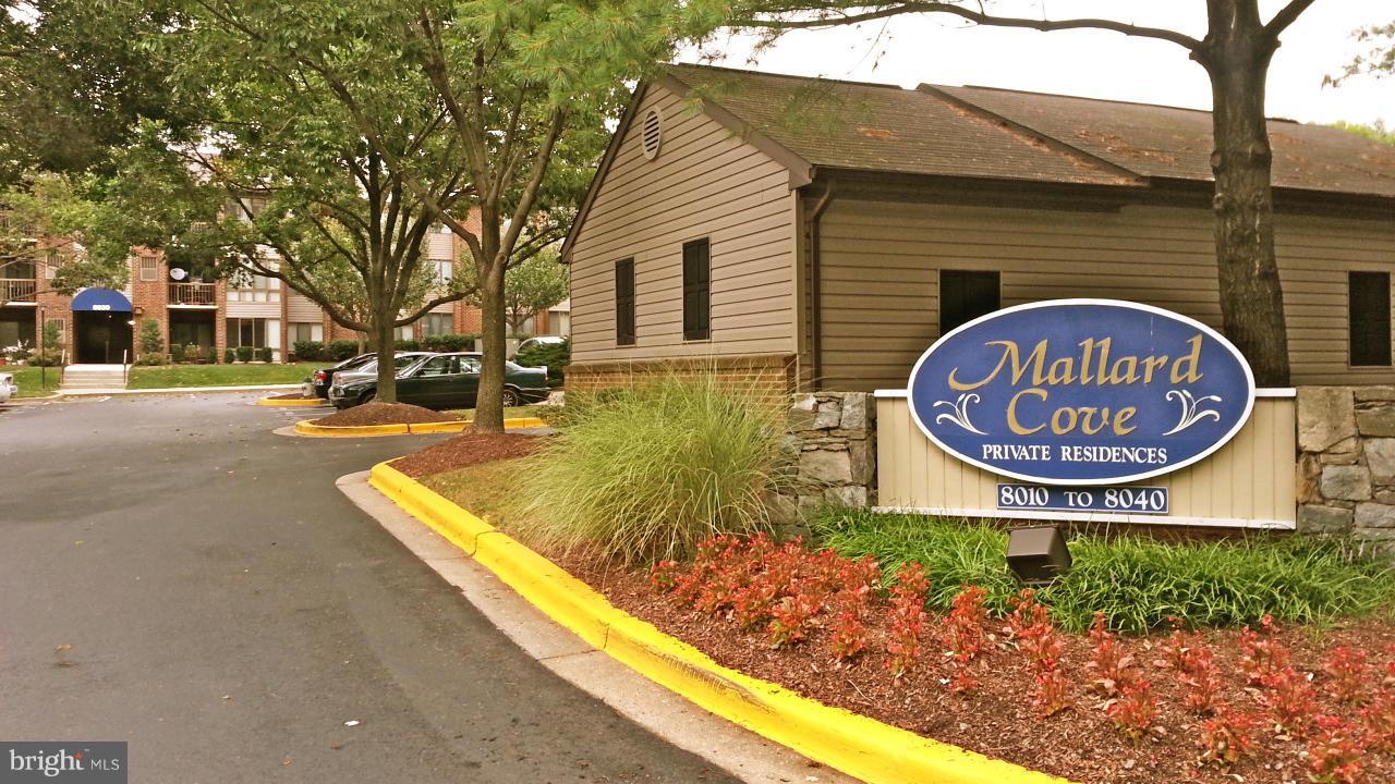 PARK OVERLOOK - Residential Lease