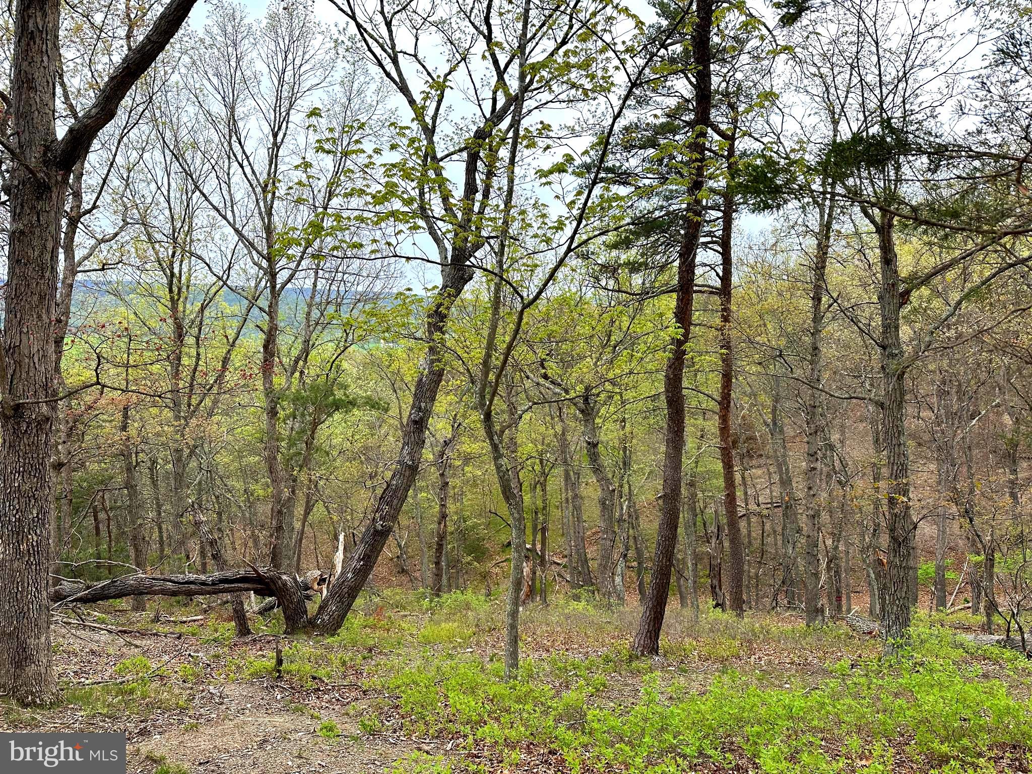 HIGH POINT - Residential