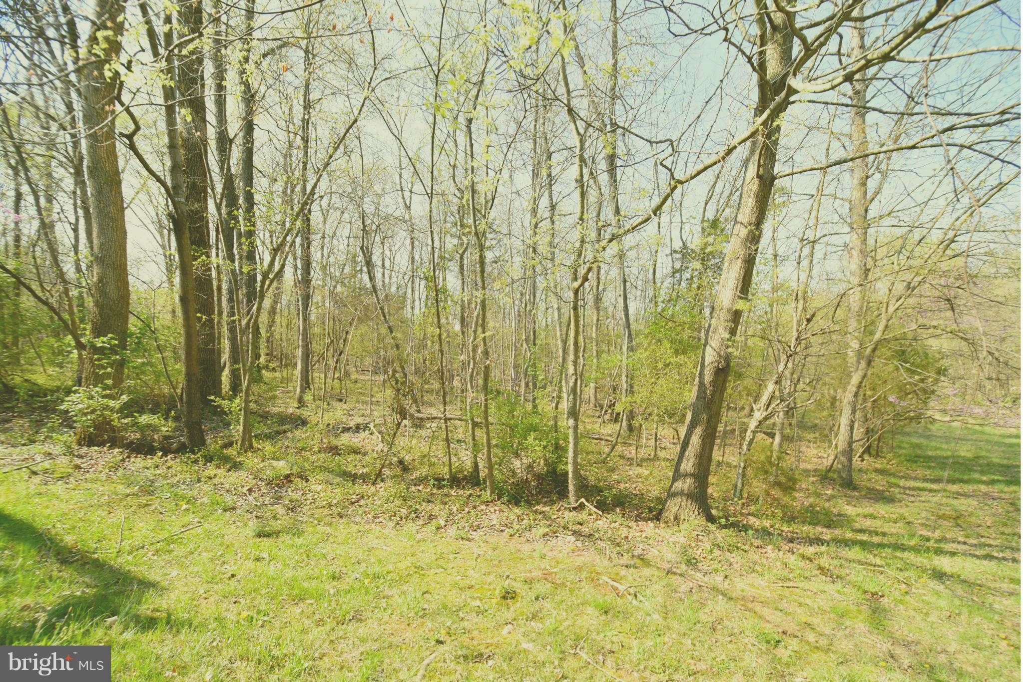 LITTLE ROCKY RUN - Residential