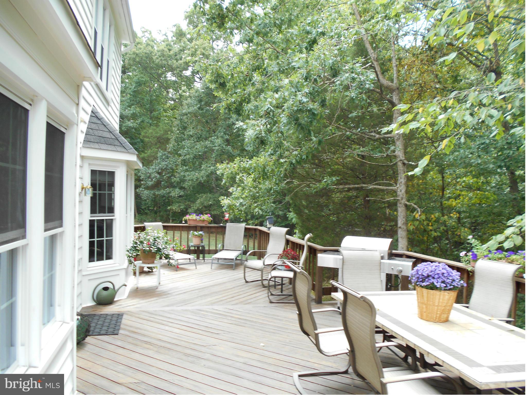 LITTLE ROCKY RUN - Residential