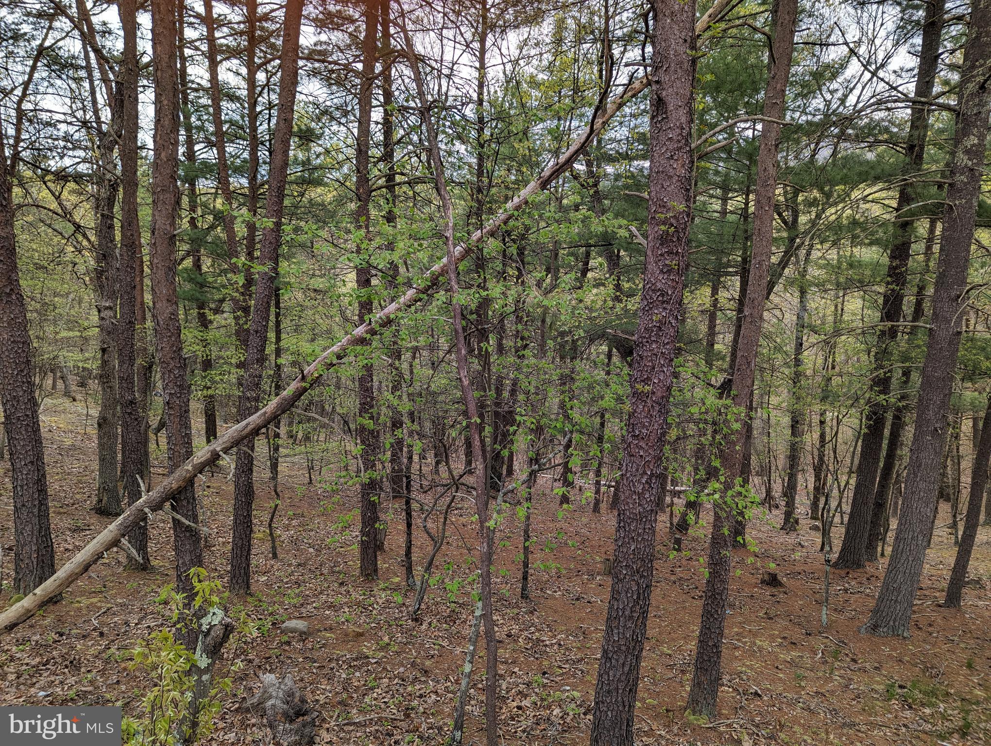 CEDAR RUN - Residential