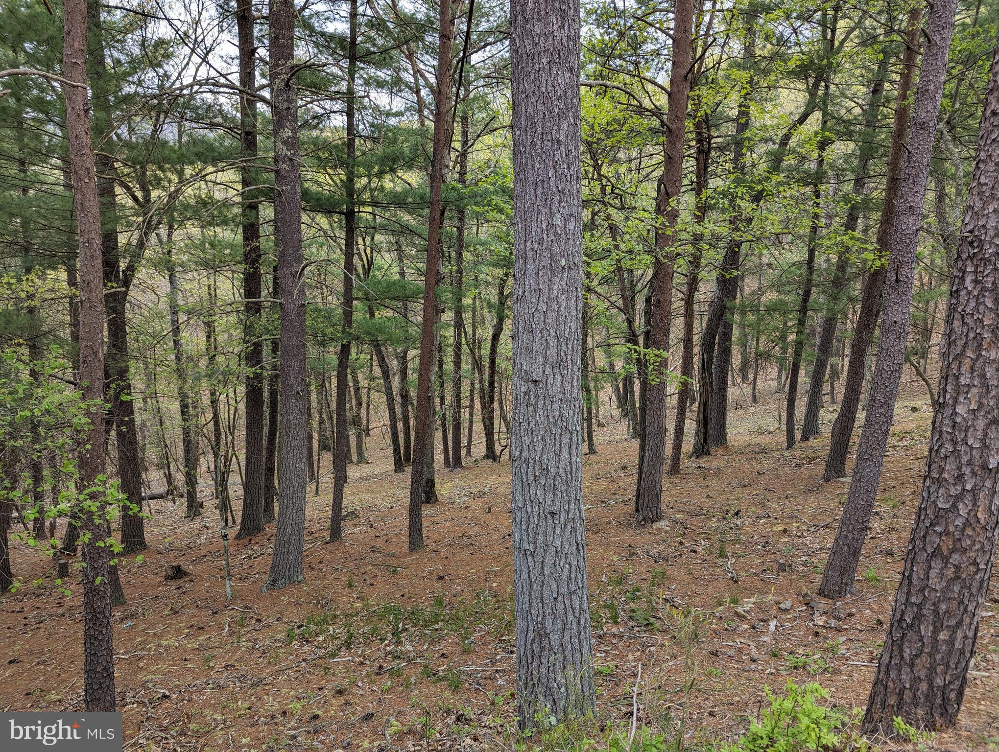 CEDAR RUN - Residential