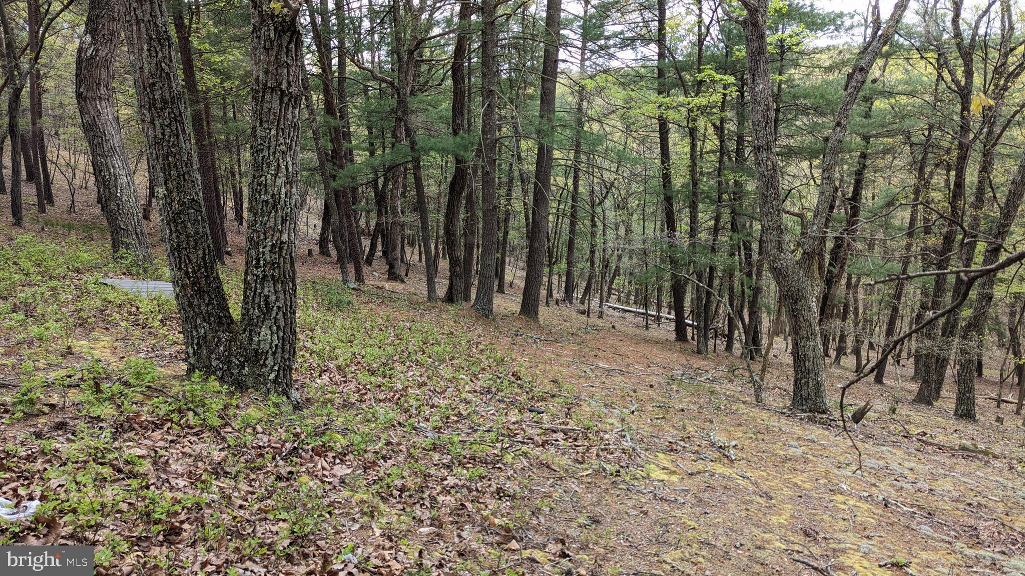 CEDAR RUN - Residential