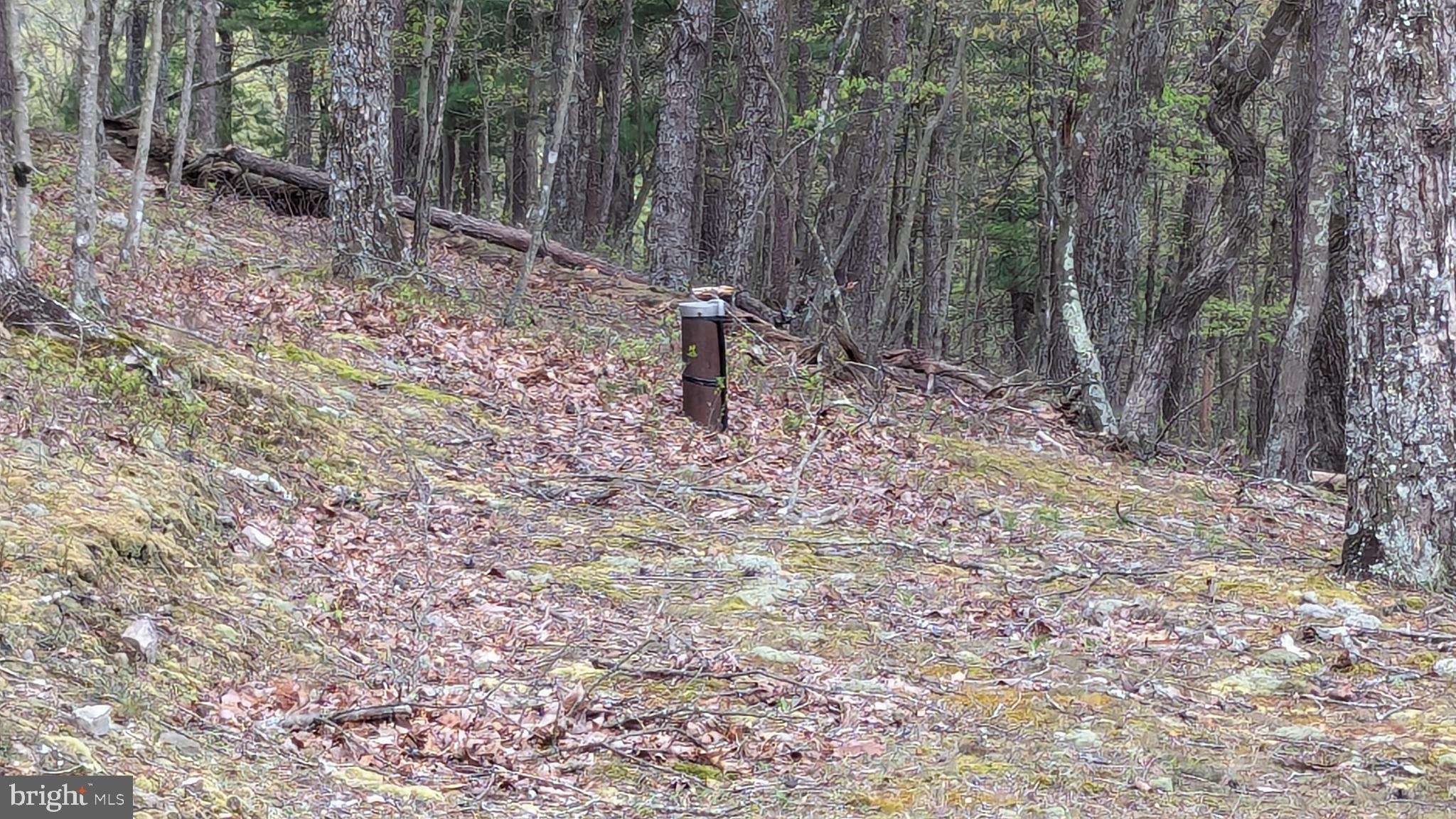 CEDAR RUN - Residential