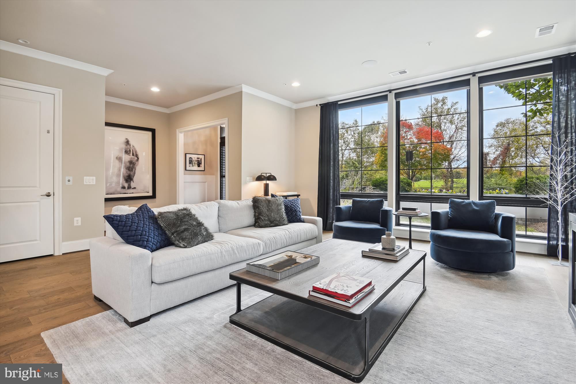 ONE LOUDOUN - Residential