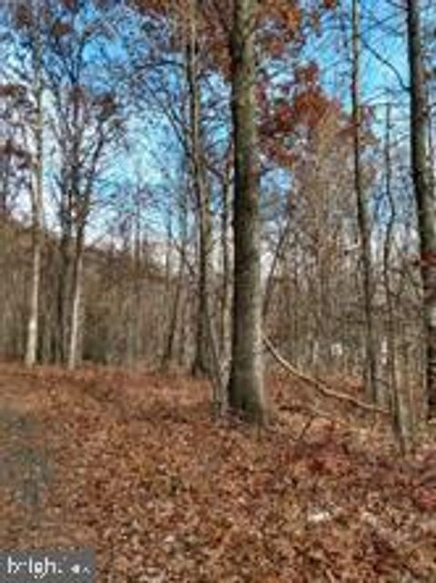 Vacant Land For Sale - High Road<br/> LAVELLE, PA 17943