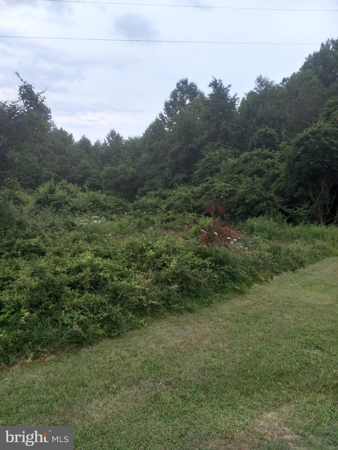 5.38 od wooded land directly behind Lot 3. Land has been surveyed and perced for a 4 bedroom home. Bring your builder with your plans. Lot has a 30 foot easment. It is 1 mile from Spotsylvania High School, 3 miles from Spotsylvania Courthouse and 20 minutes either way from Lake Anna and Fredericksburg's shopping and restaurants.