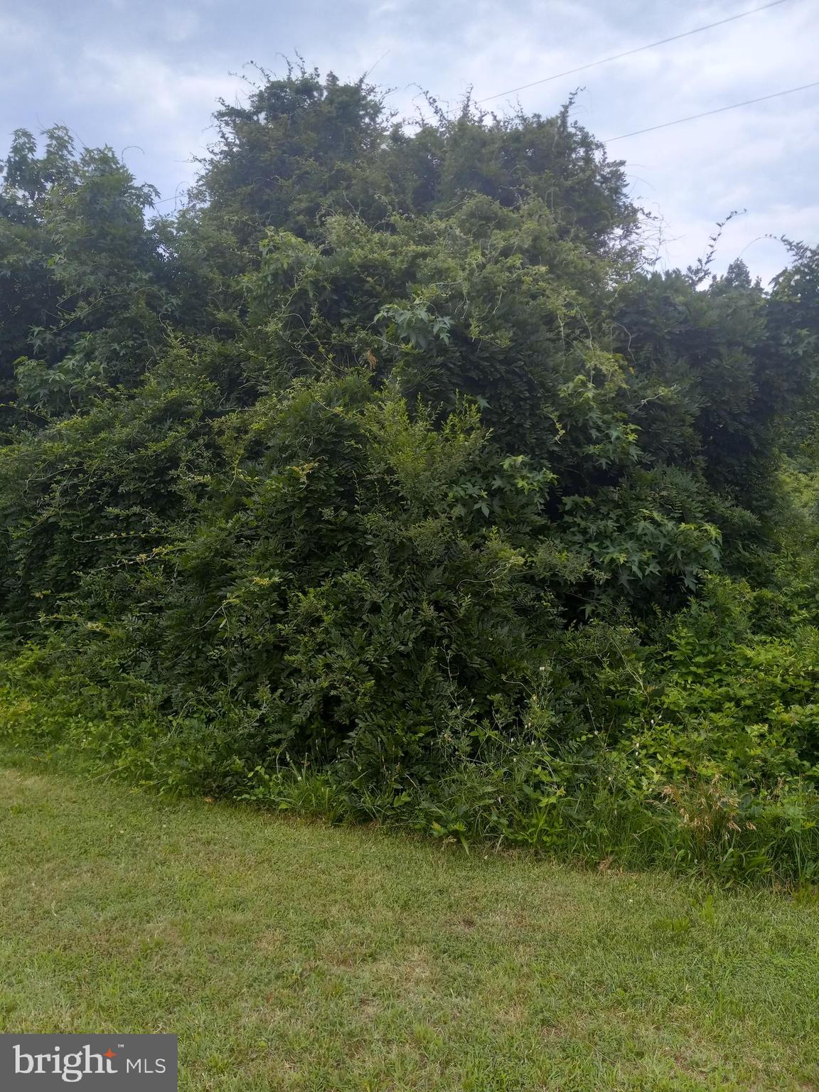0 LEWIS ESTATES LANE - LOT 4