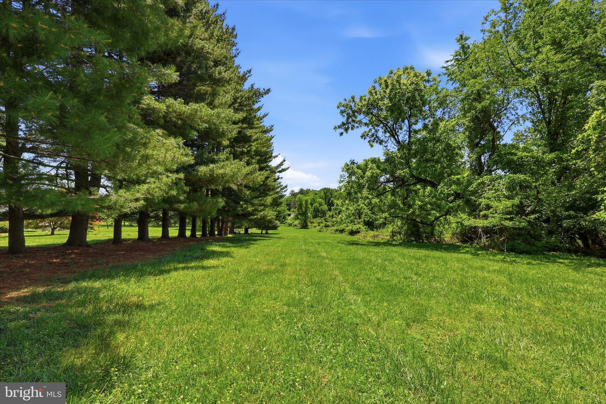 DEEP MEADOW - Residential