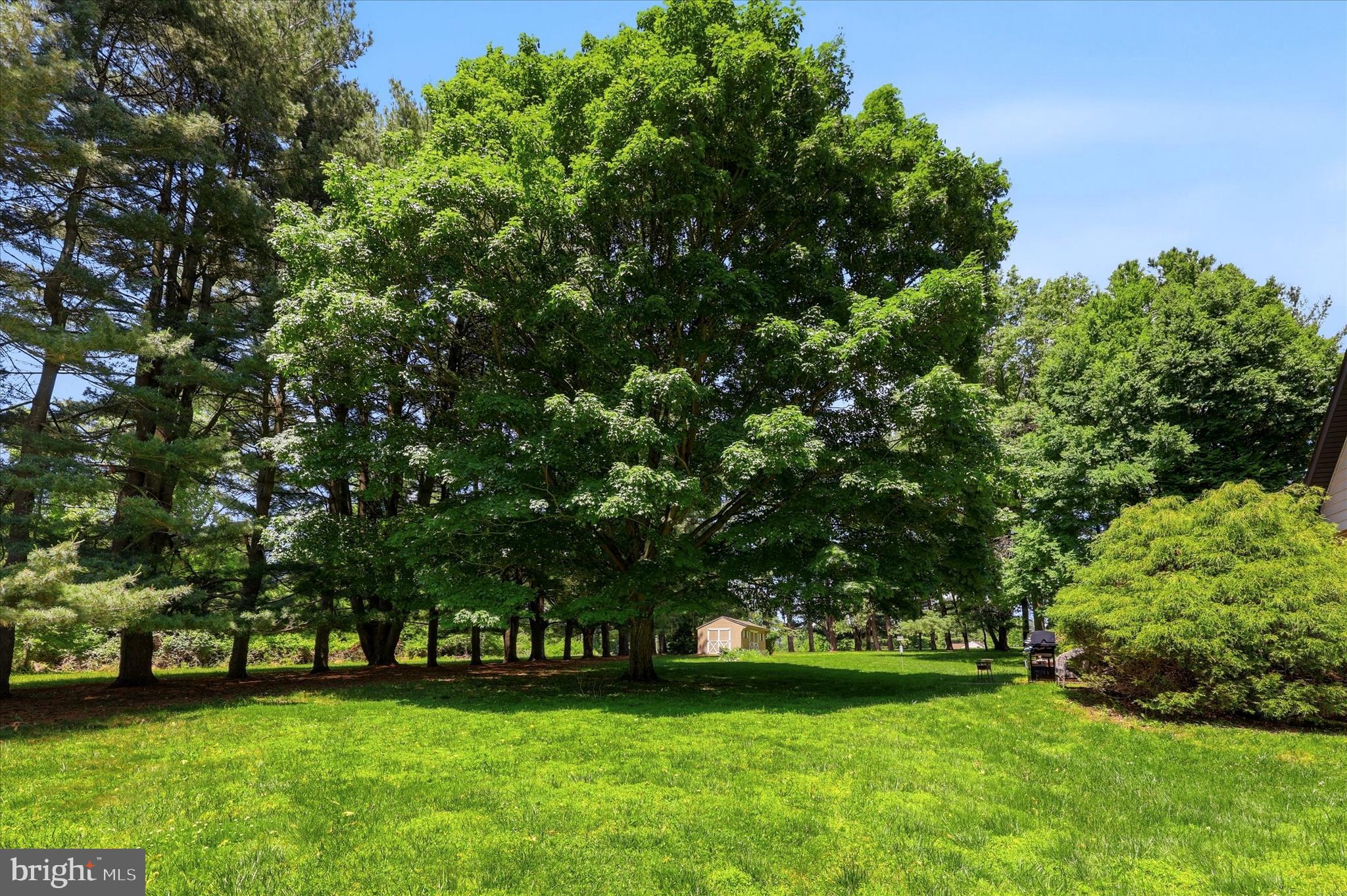 DEEP MEADOW - Residential