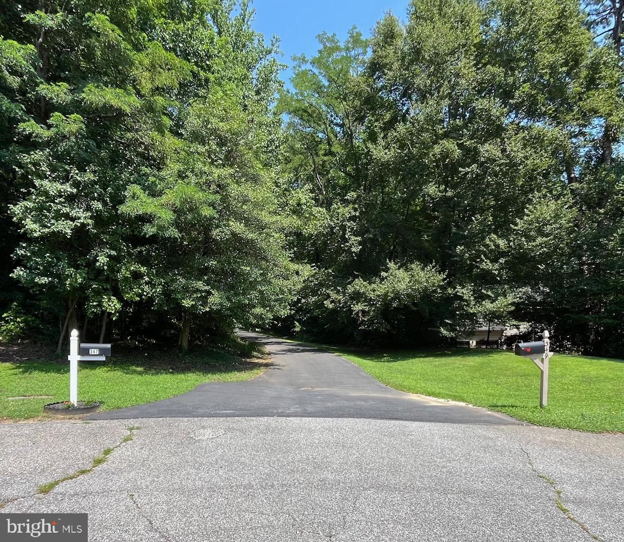 347 CANDLE RIDGE COURT