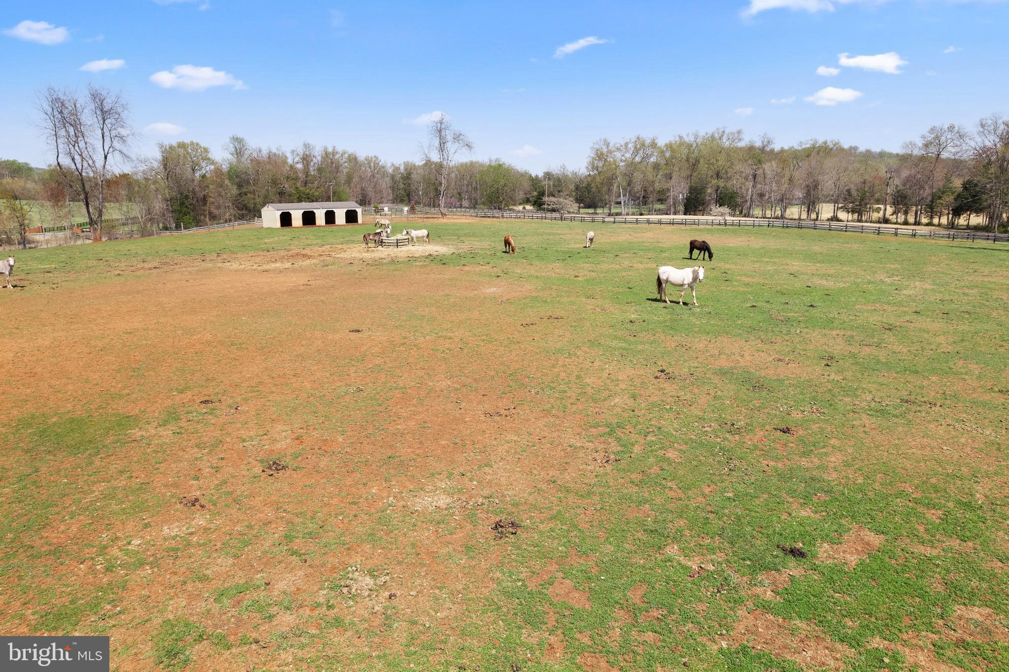 MONTEITH FARM - Residential