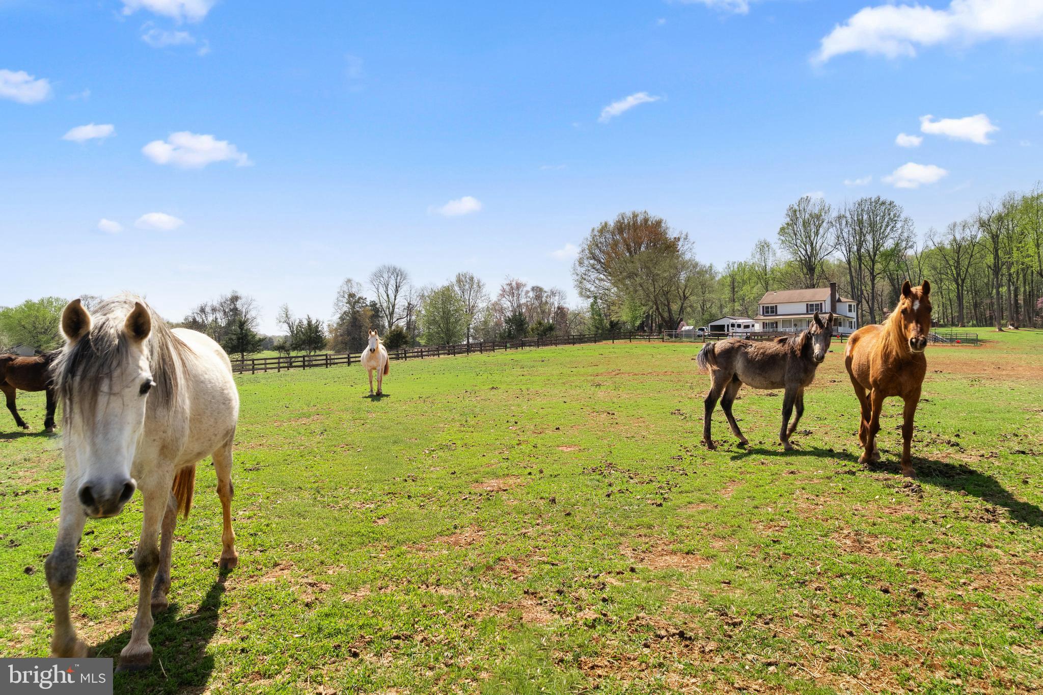 MONTEITH FARM - Residential