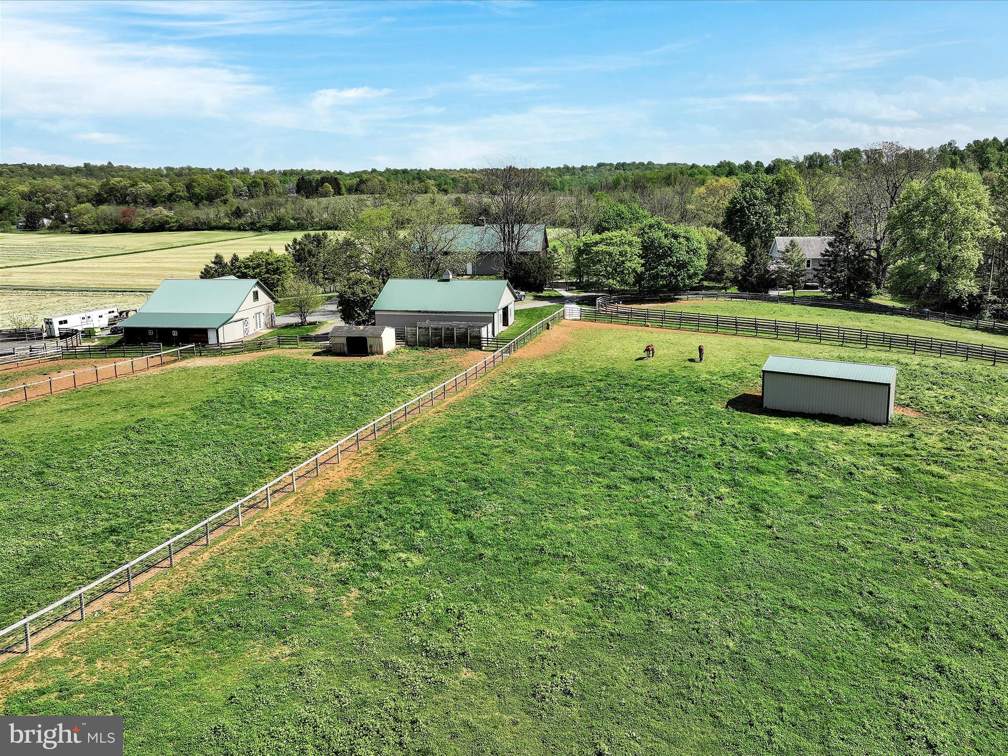 NONE AVAILABLE - Farm