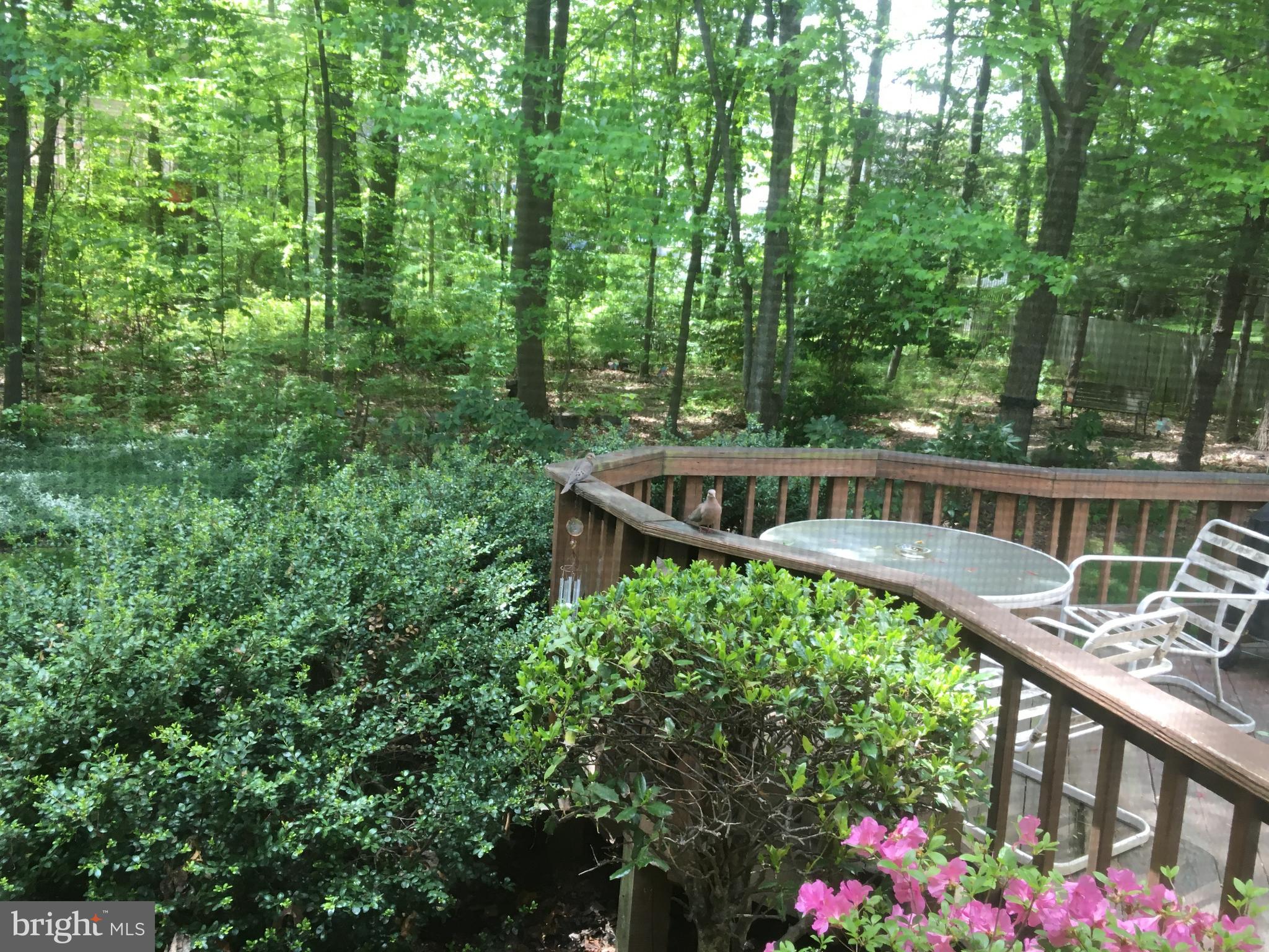 POPLAR TREE ESTATES - Residential