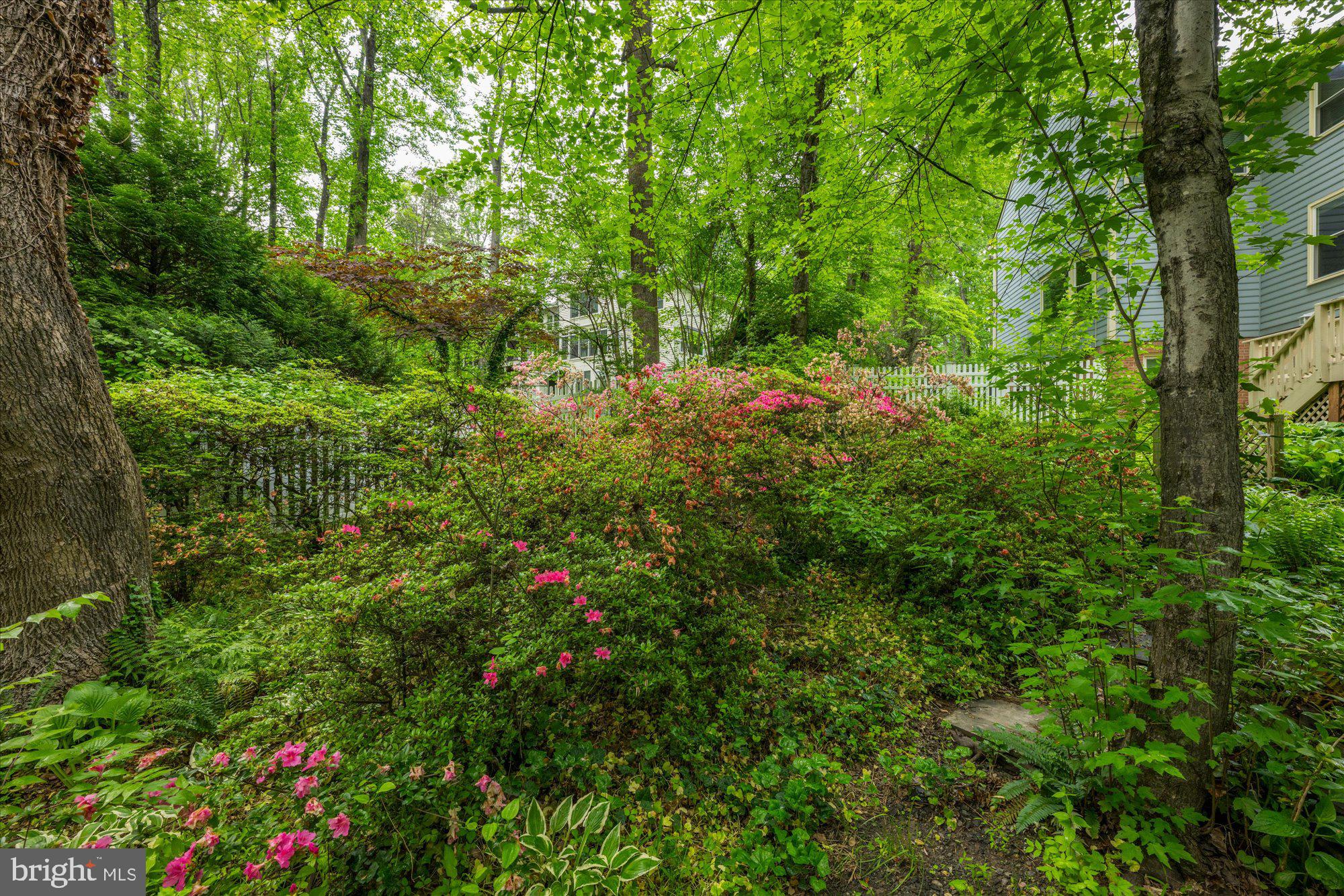 ABBEY GLEN - Residential