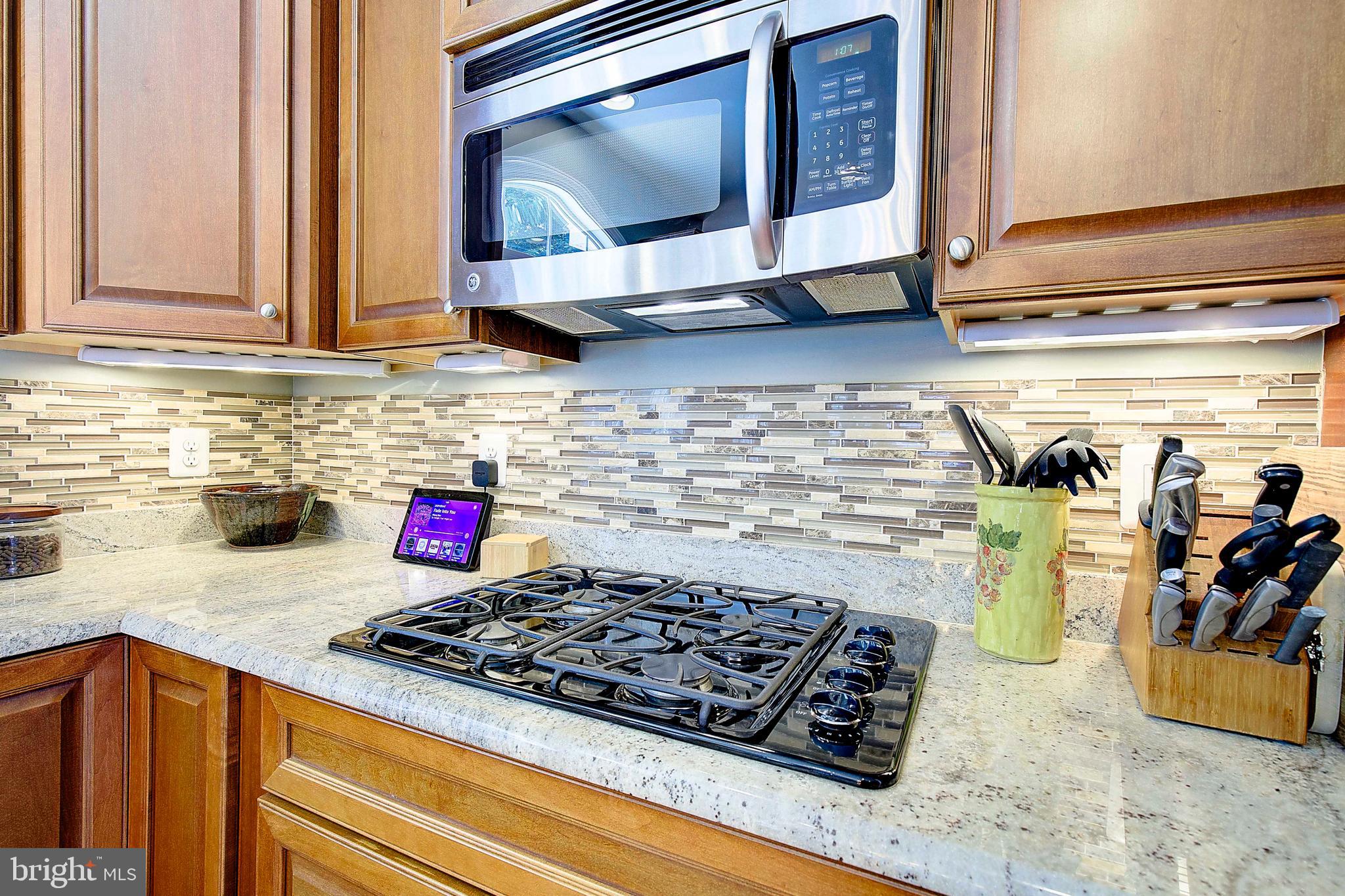 CHESAPEAKE VILLAGE - Residential