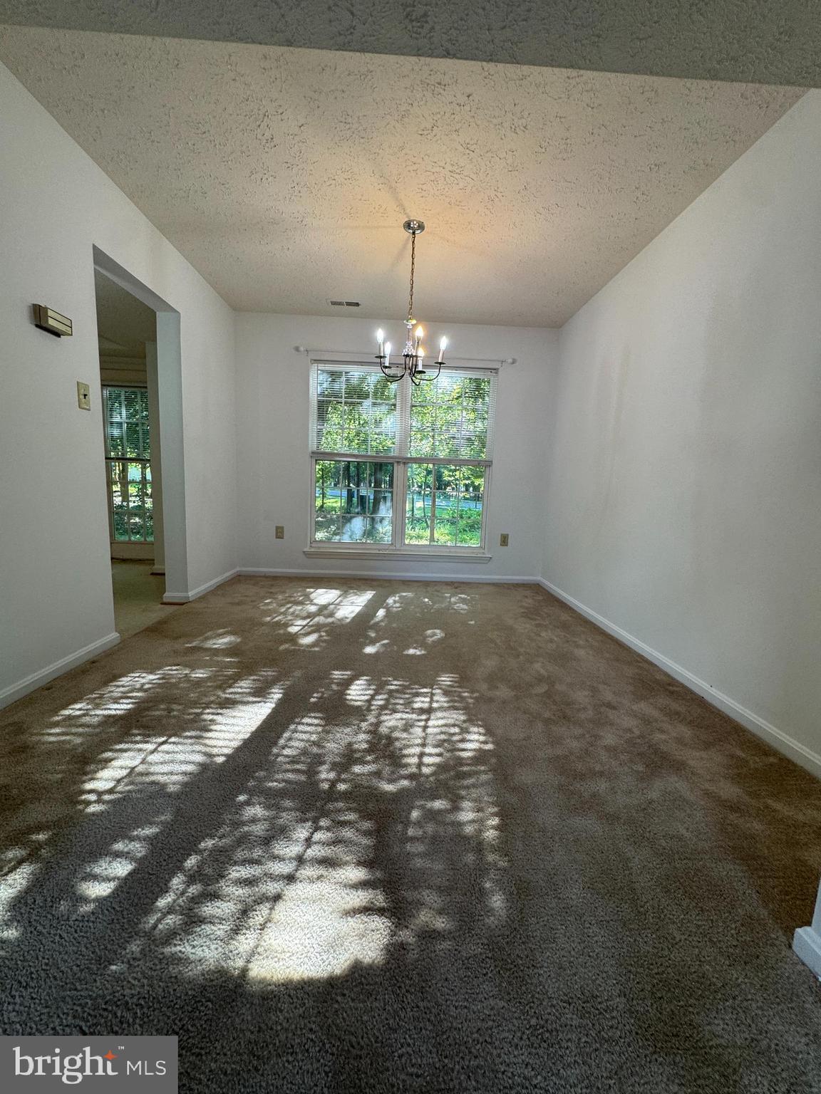 6507 ALOPEX COURT