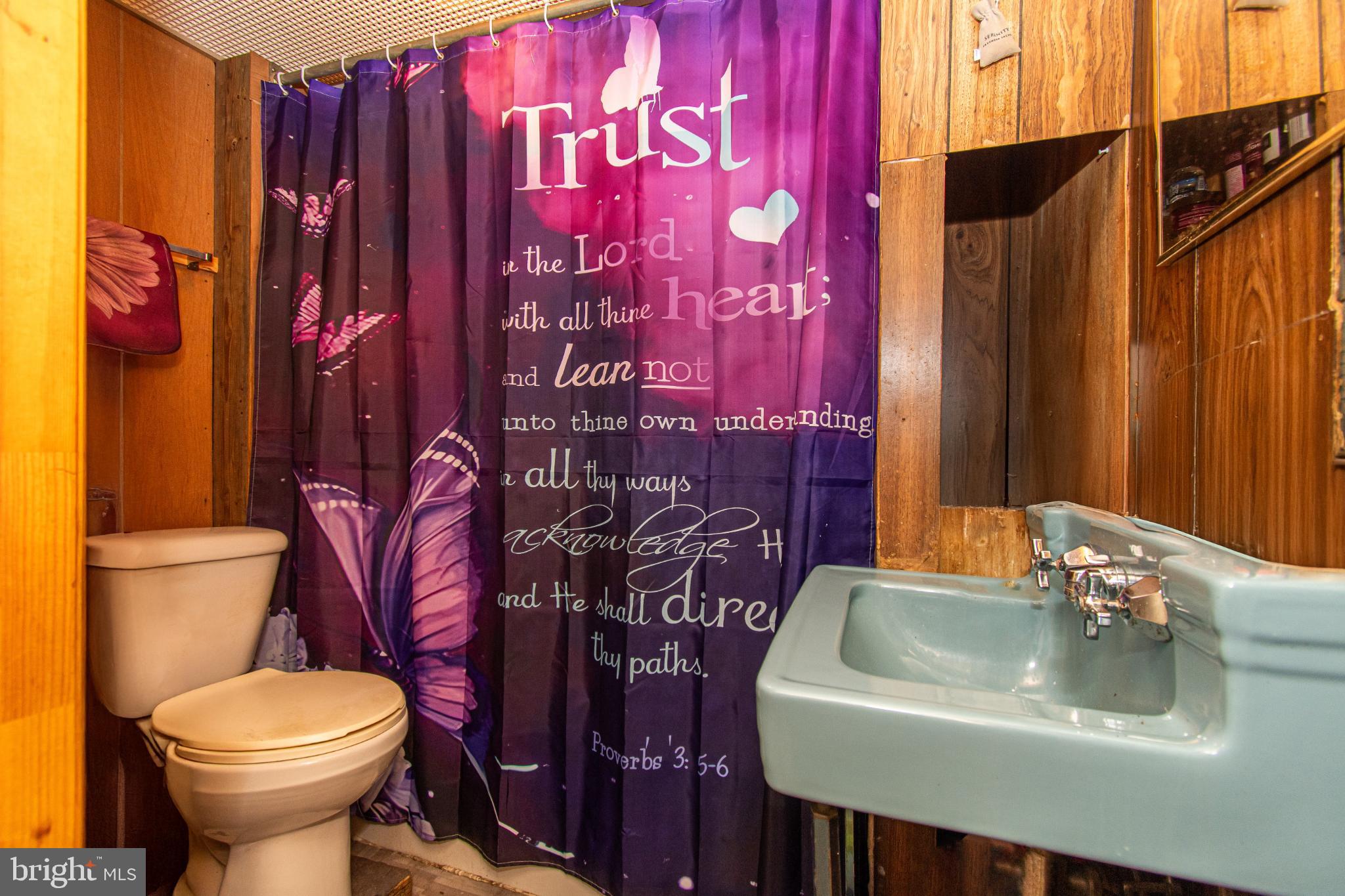 WINDSOR TERRACE - Residential