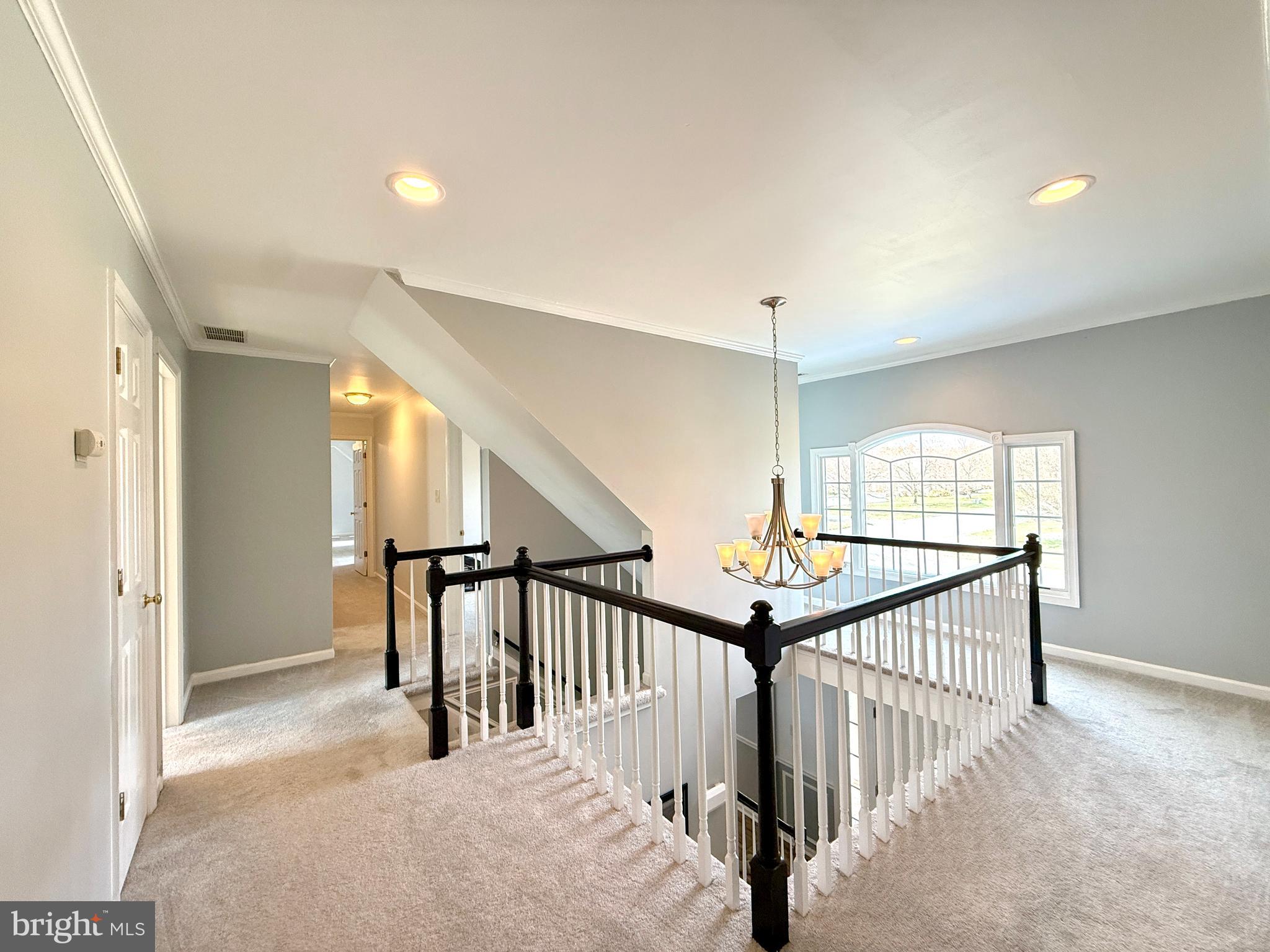 STEEPLECHASE - Residential