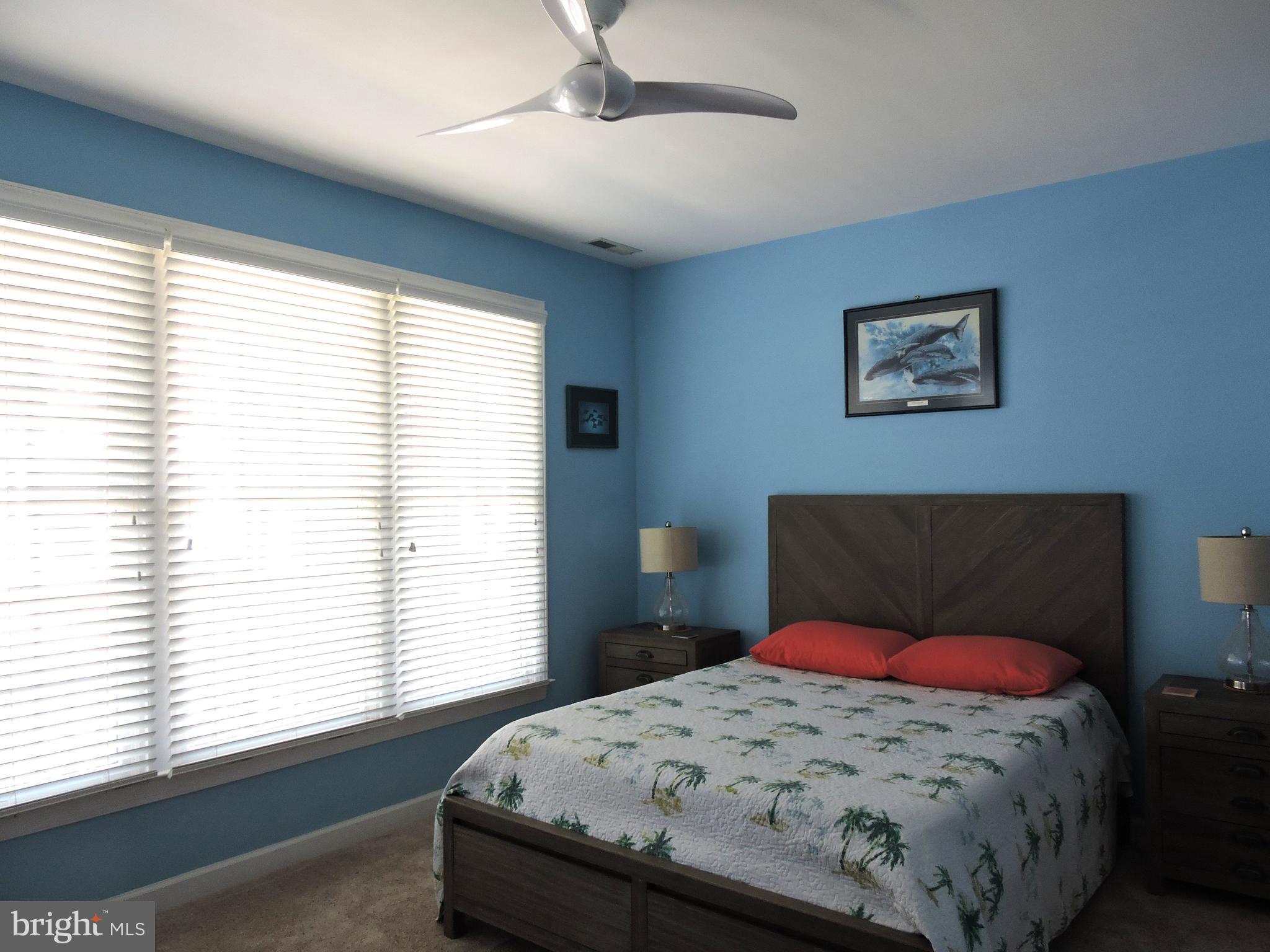 BEAR TRAP - Residential