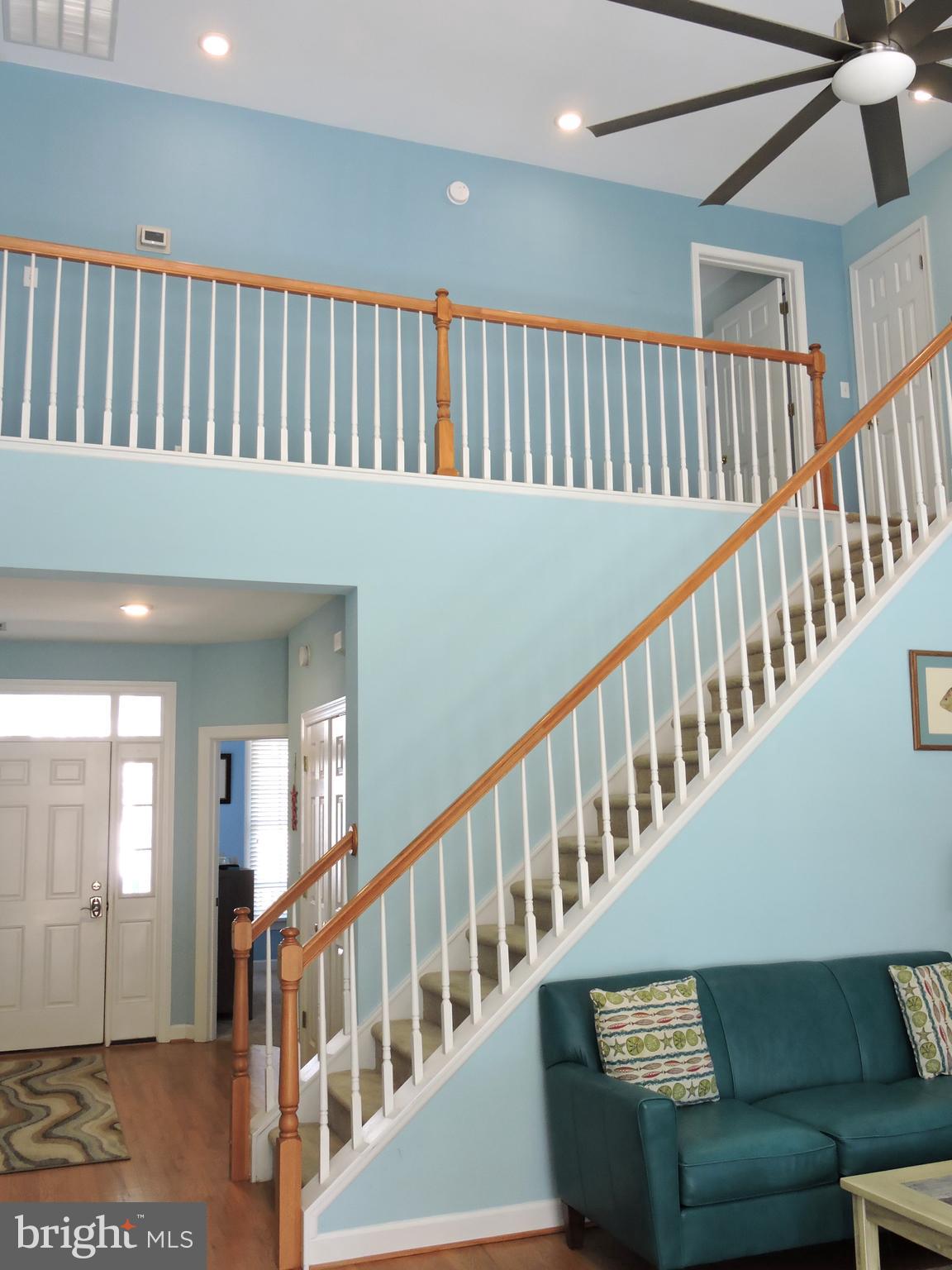 BEAR TRAP - Residential