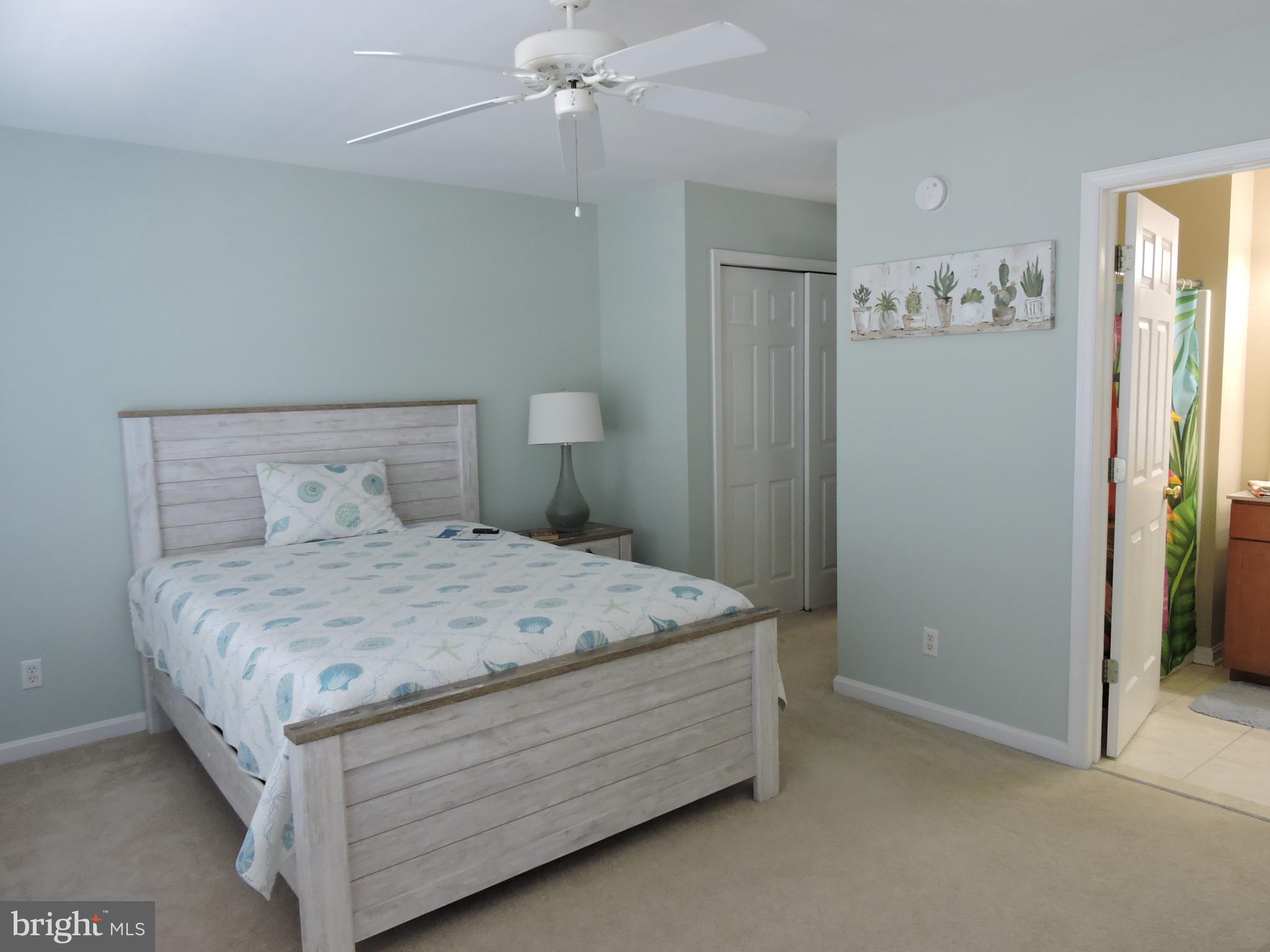 BEAR TRAP - Residential