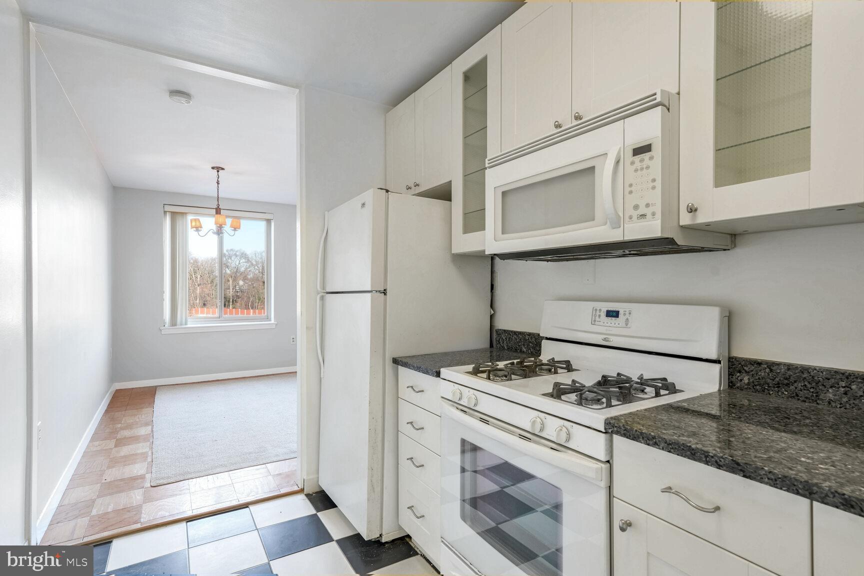 3000 SPOUT RUN PARKWAY B507