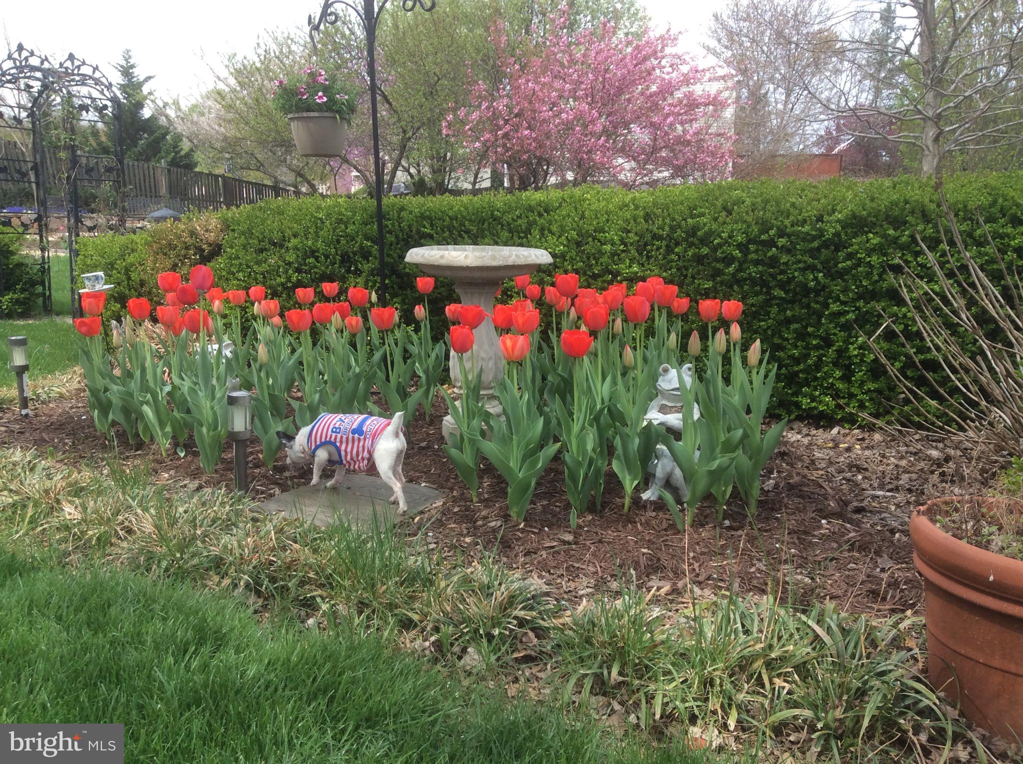 THE PRESERVE AT WYNMAR - Residential