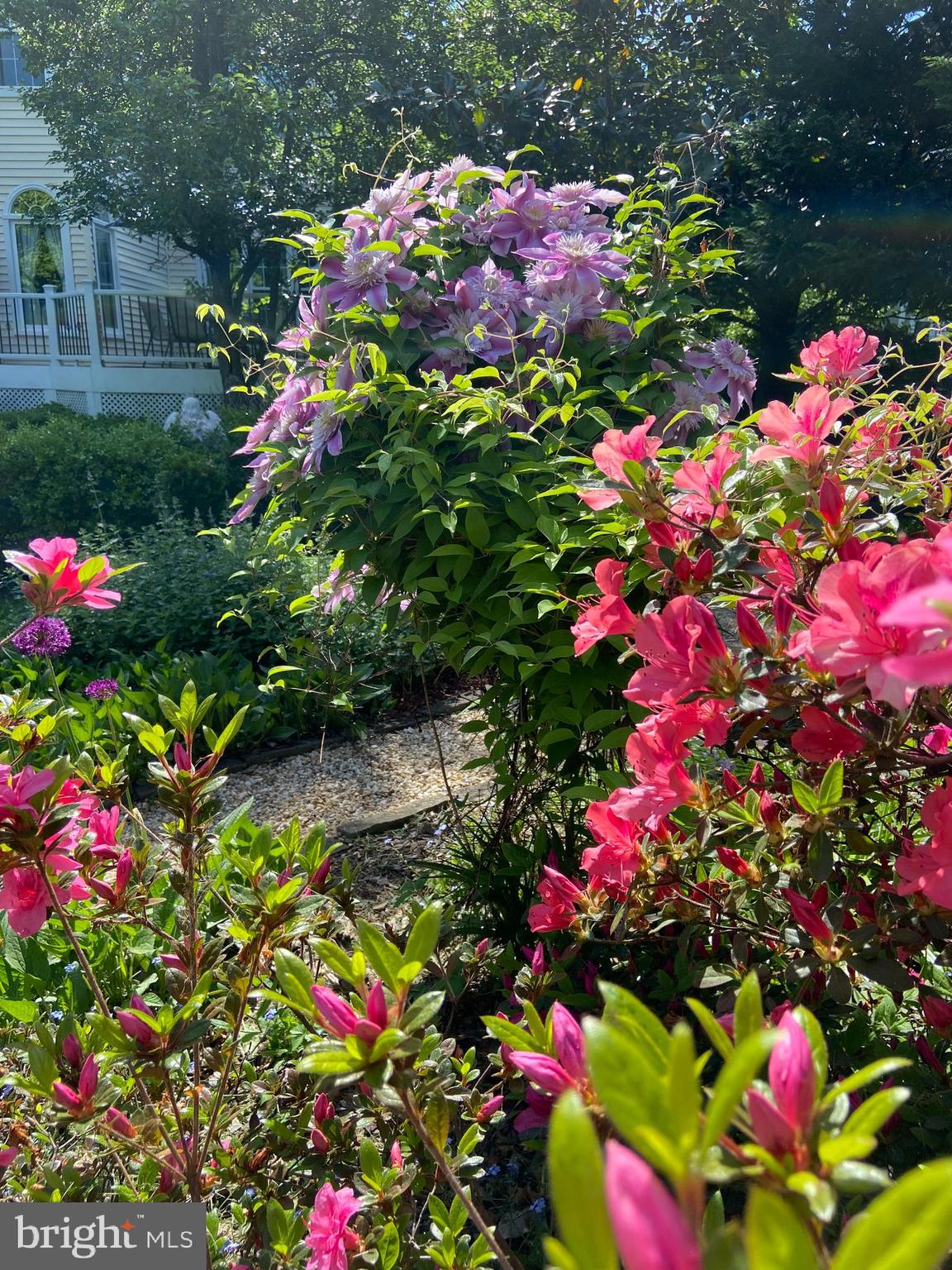 THE PRESERVE AT WYNMAR - Residential