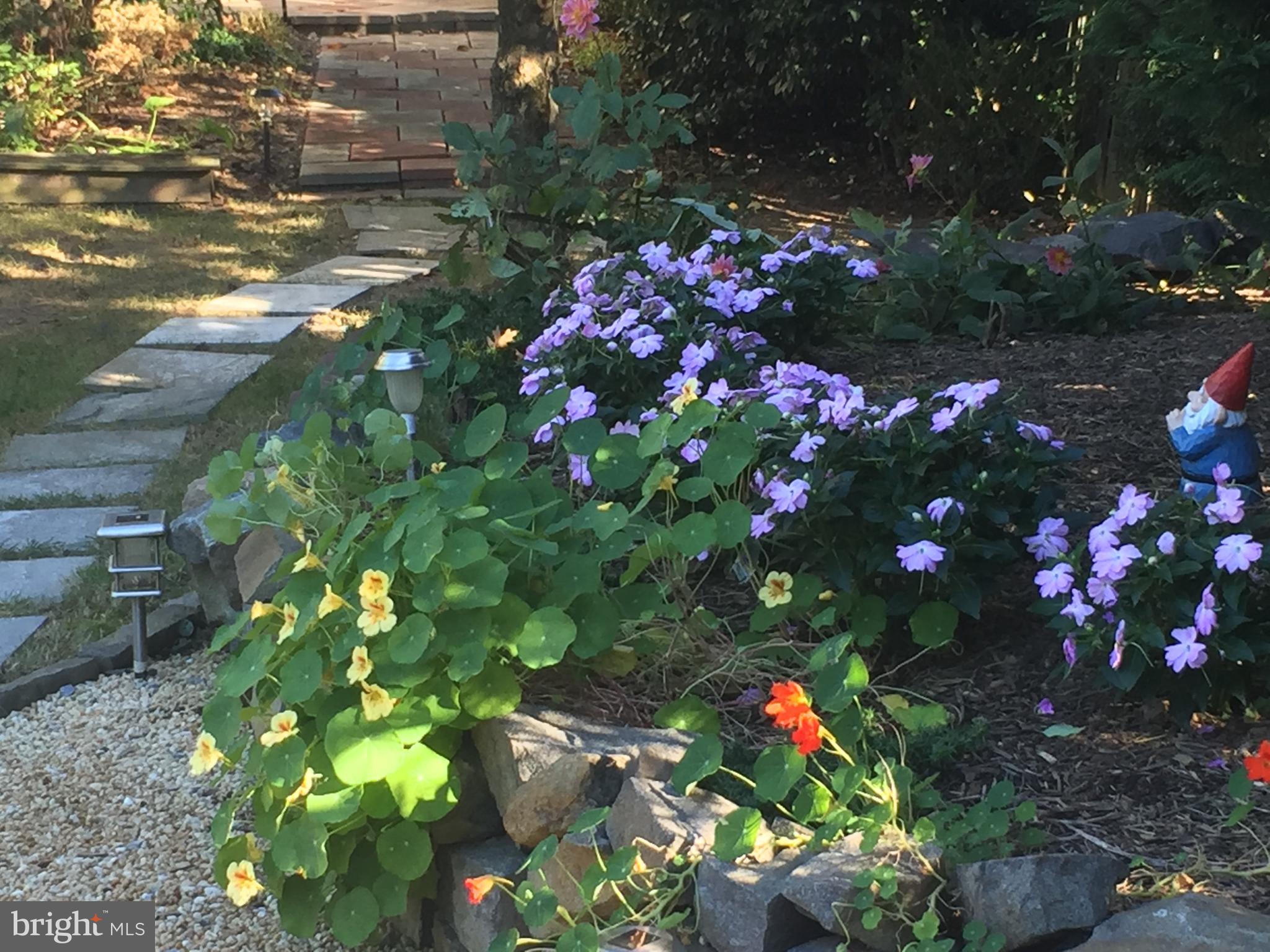 THE PRESERVE AT WYNMAR - Residential