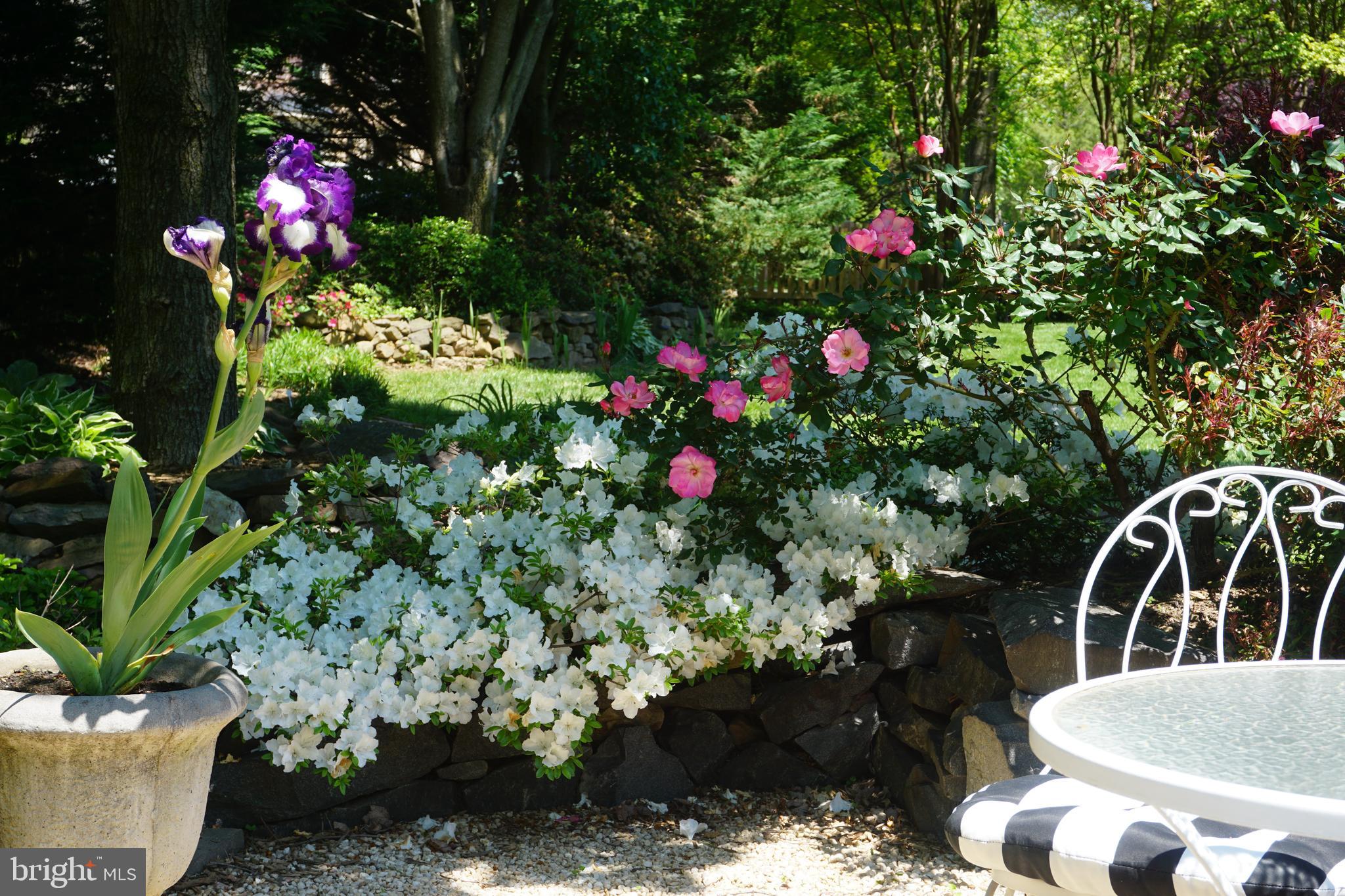 THE PRESERVE AT WYNMAR - Residential