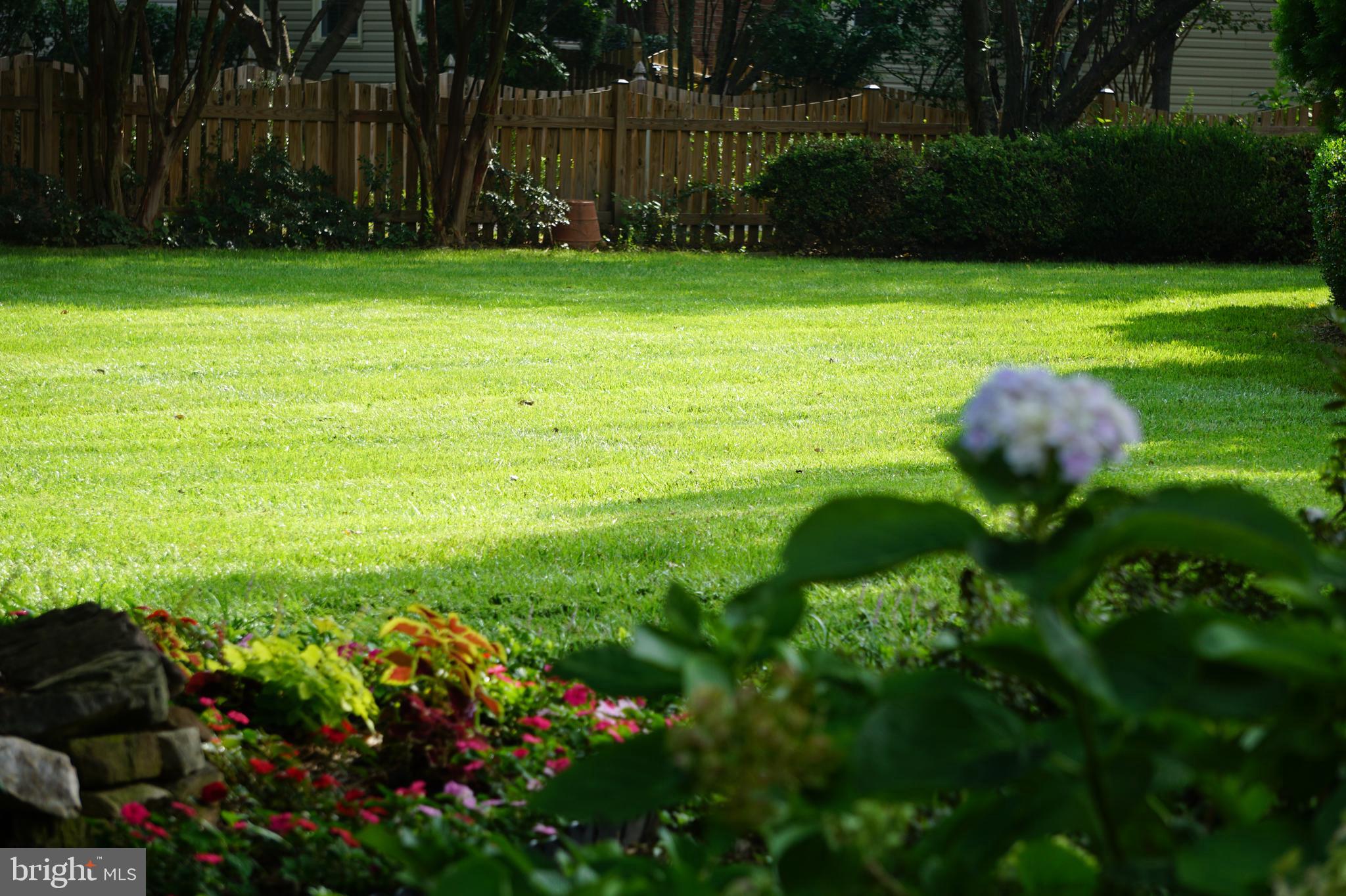 THE PRESERVE AT WYNMAR - Residential