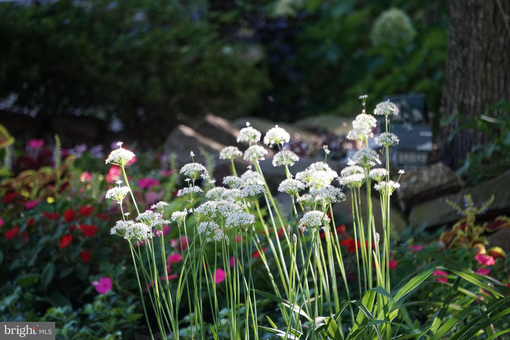 THE PRESERVE AT WYNMAR - Residential