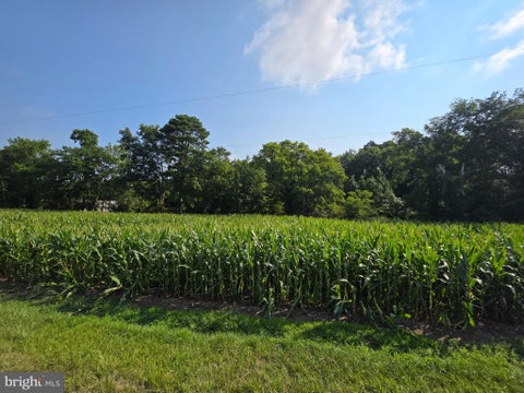 Vacant Land For Sale - TBD LOT A Phillips Rd<br/> SELBYVILLE, DE 19975