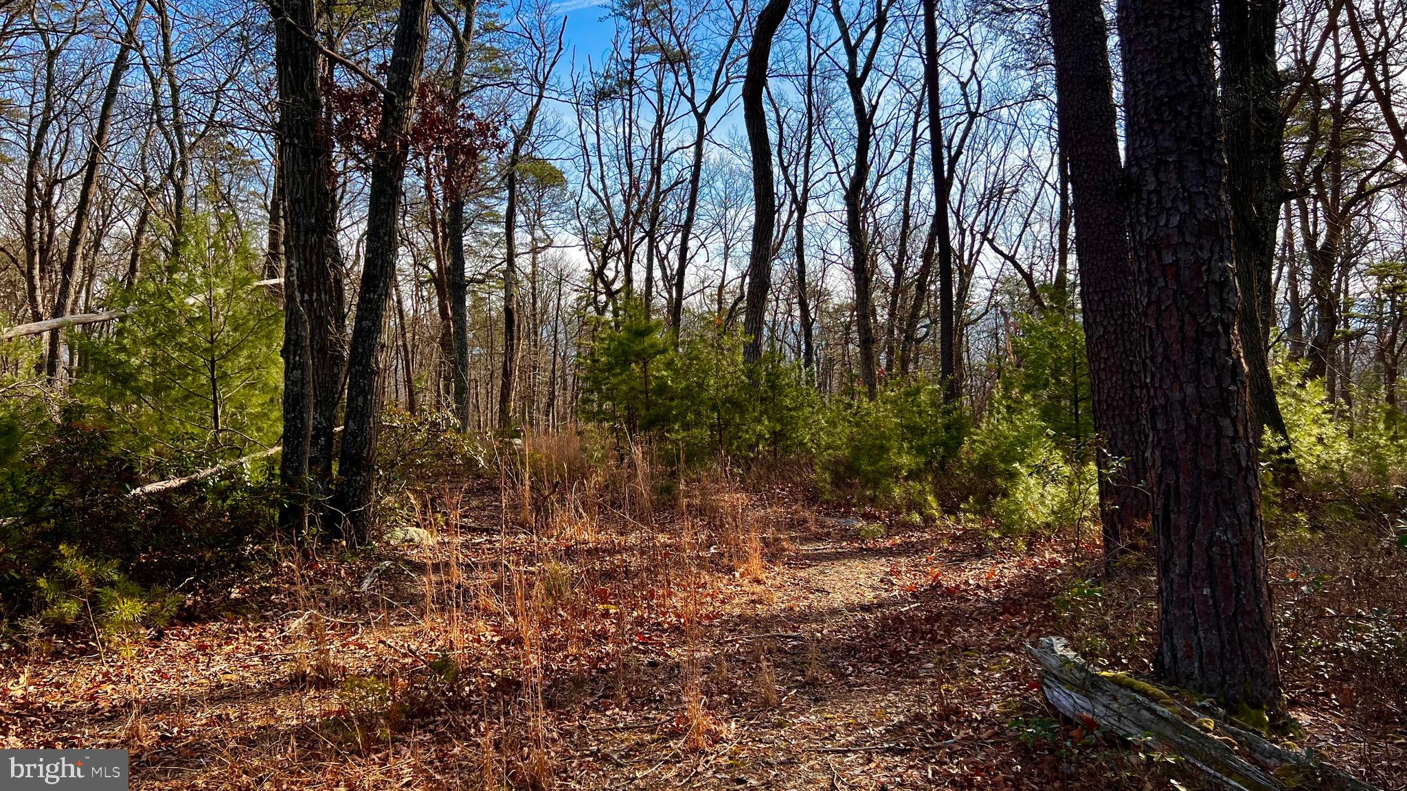 KA KAPON HEIGHTS - Land