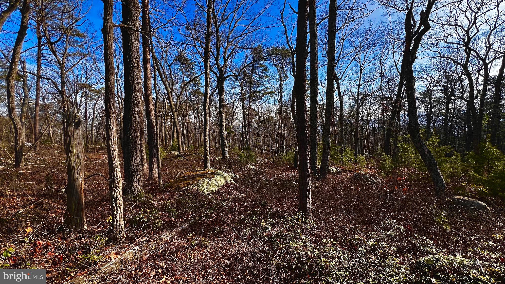 KA KAPON HEIGHTS - Land