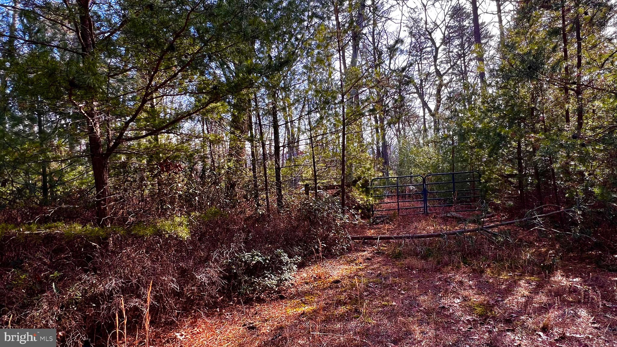 LOT SHORT PINE COURT 17 & 18