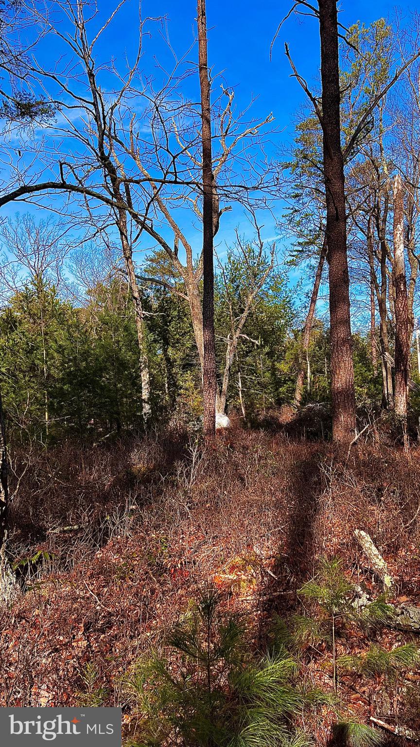 LOT SHORT PINE COURT 17 & 18