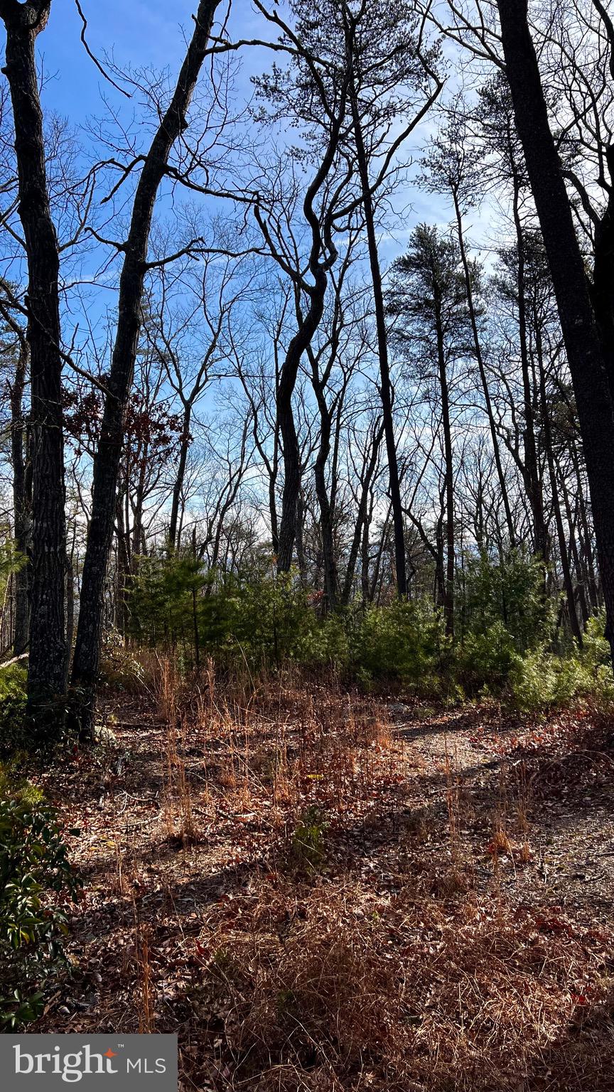 KA KAPON HEIGHTS - Land