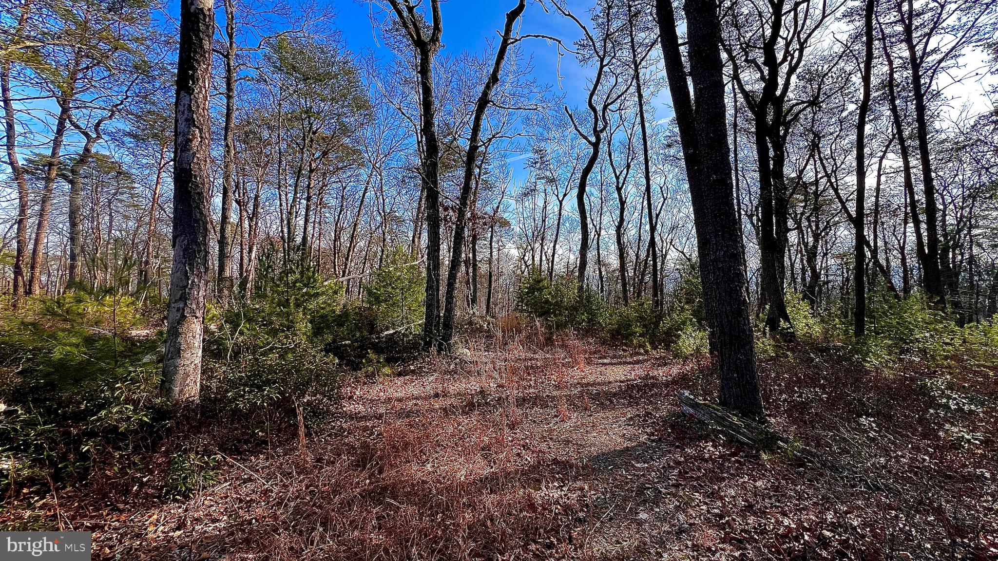 KA KAPON HEIGHTS - Land