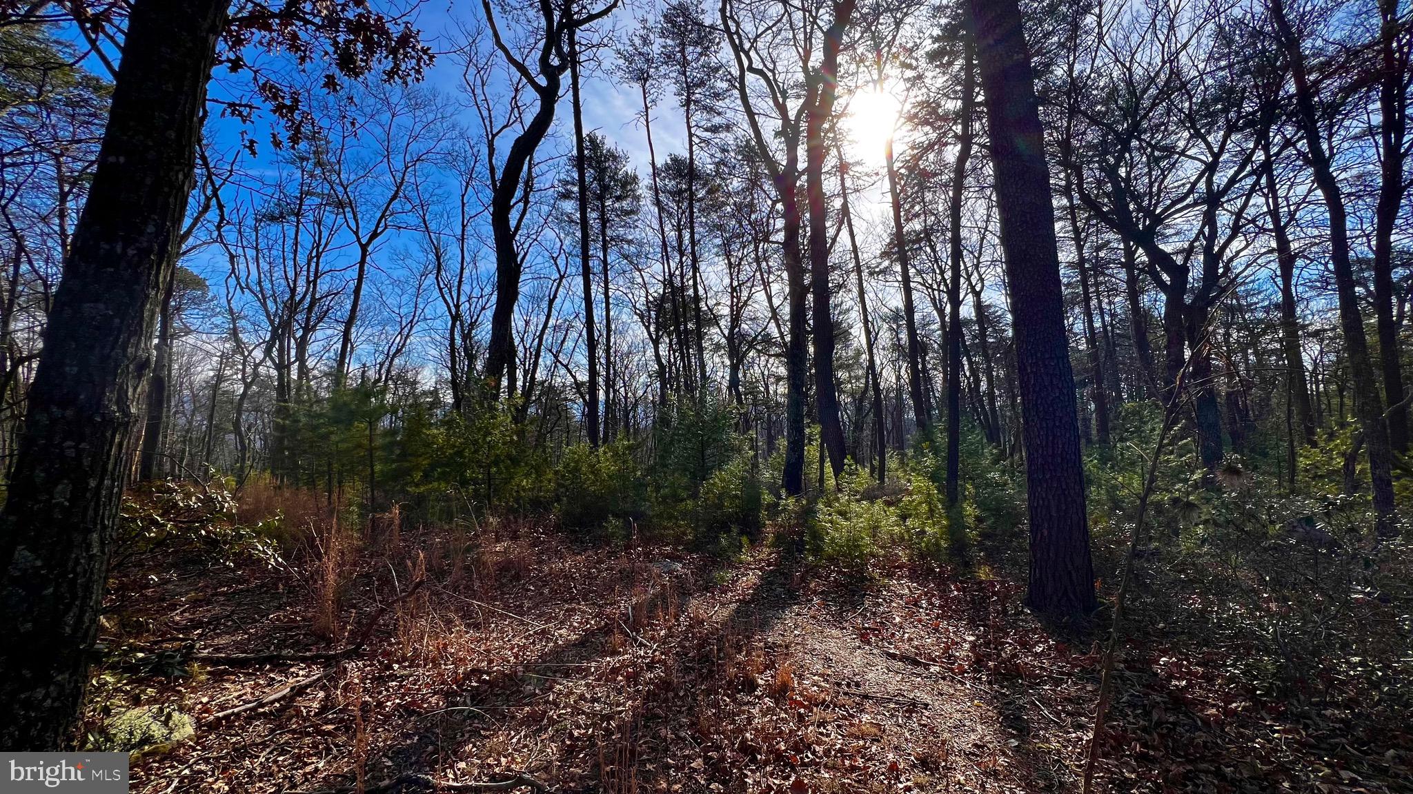 KA KAPON HEIGHTS - Land