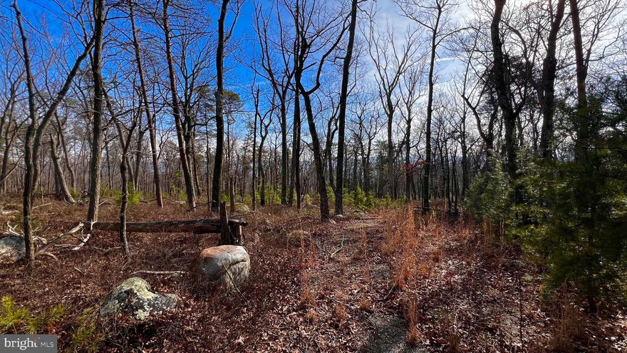 Discover Lots 17 and 18 in Ka-Kapon Heights Subdivision, offering a combined 5.53 acres. Ideal for building your forever home or a weekend retreat. Conveniently located just minutes from the Town of Wardensville with easy access to Route 259.