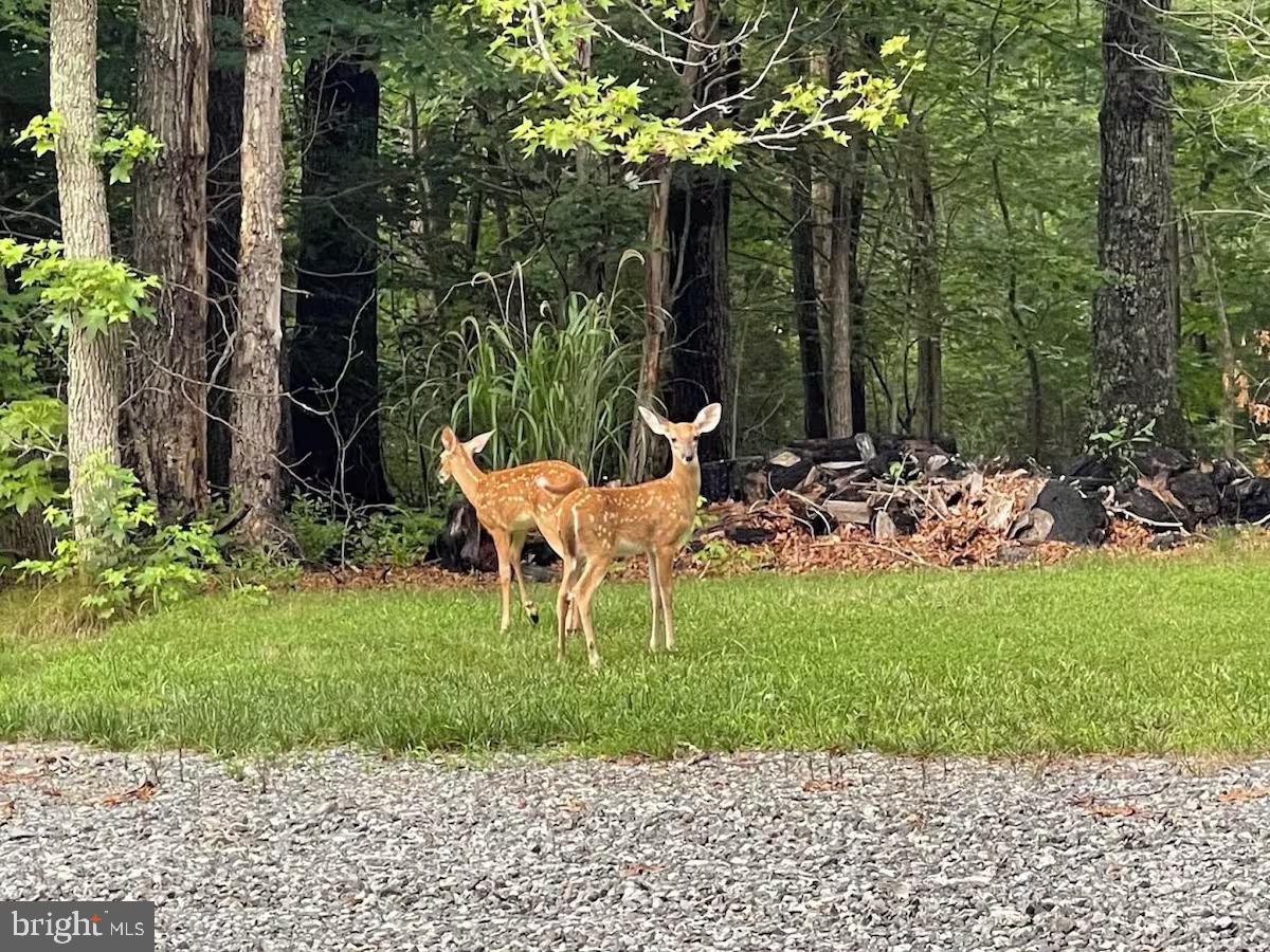 MYSTIC POINTE - Residential