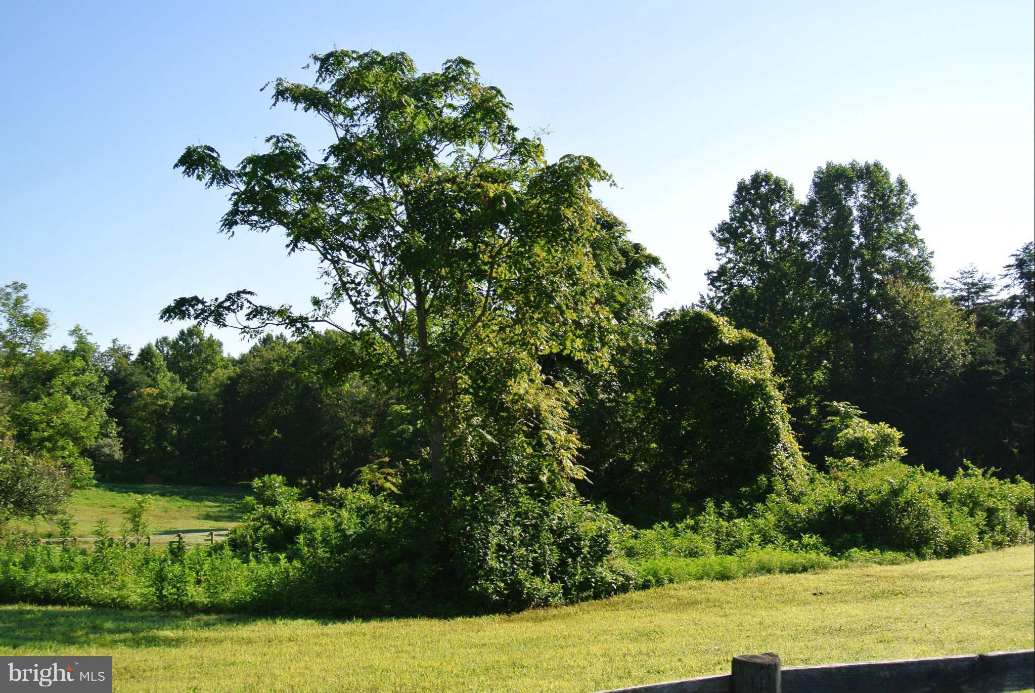 NONE AVAILABLE - Land