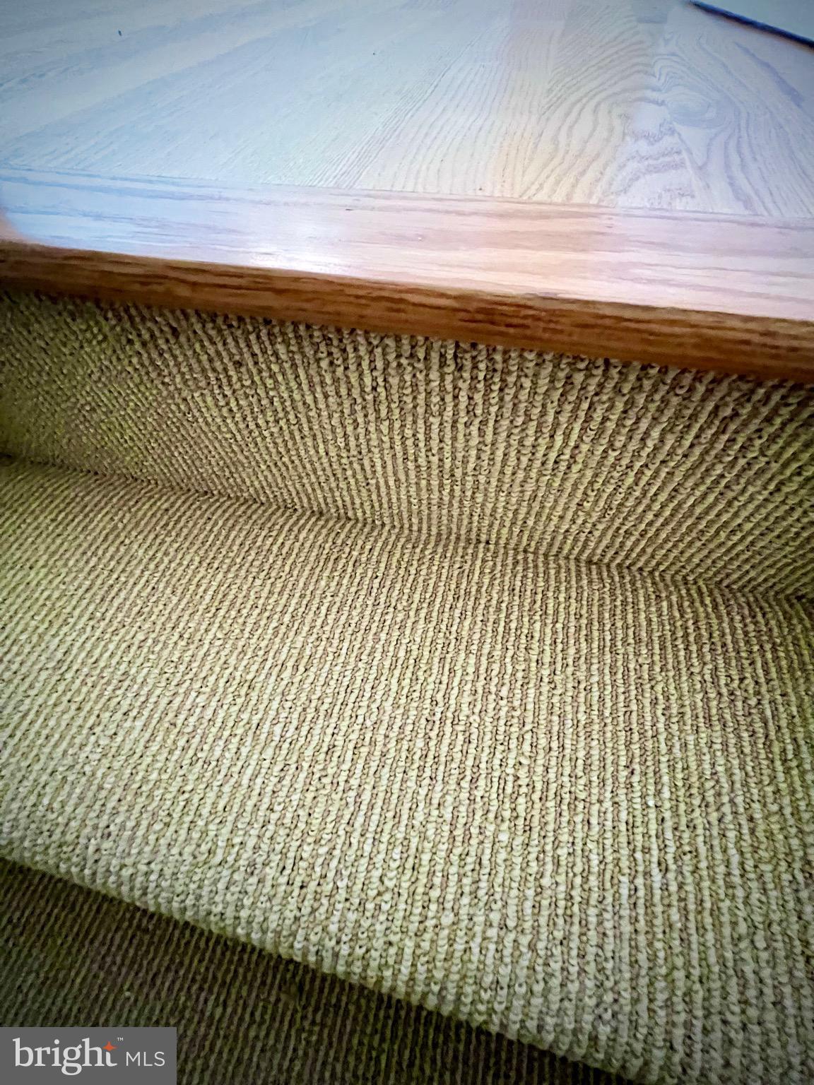 TIMBERLAWN - Residential Lease