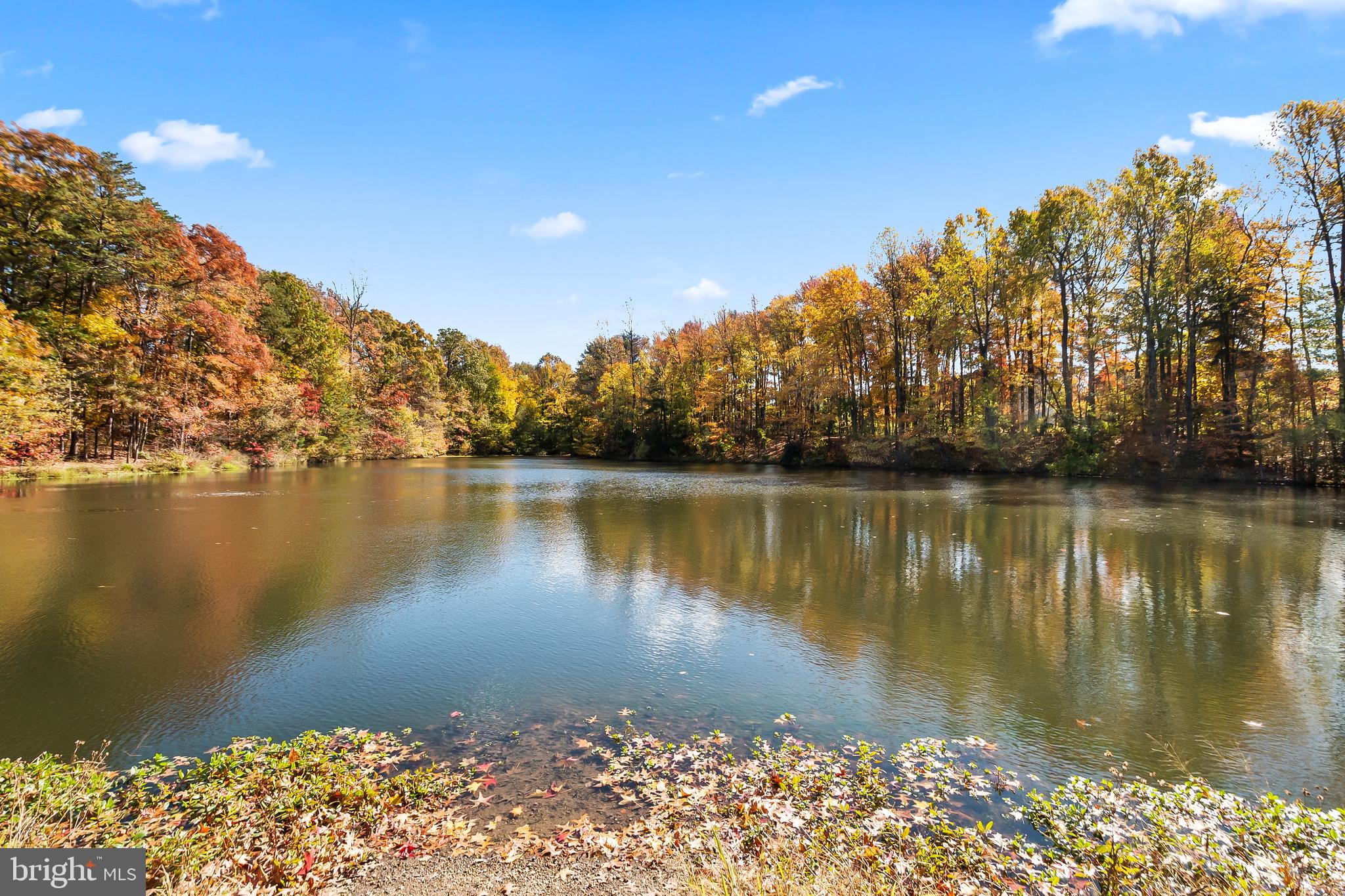 6611 NETTIES LANE 24L