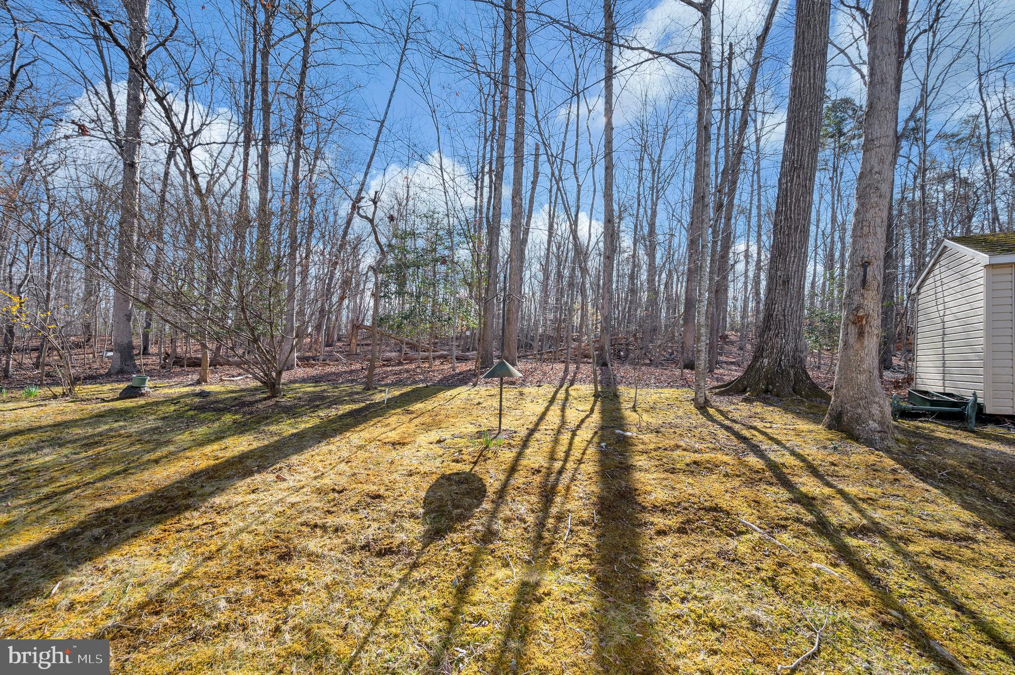 LAKE OF THE WOODS - Residential