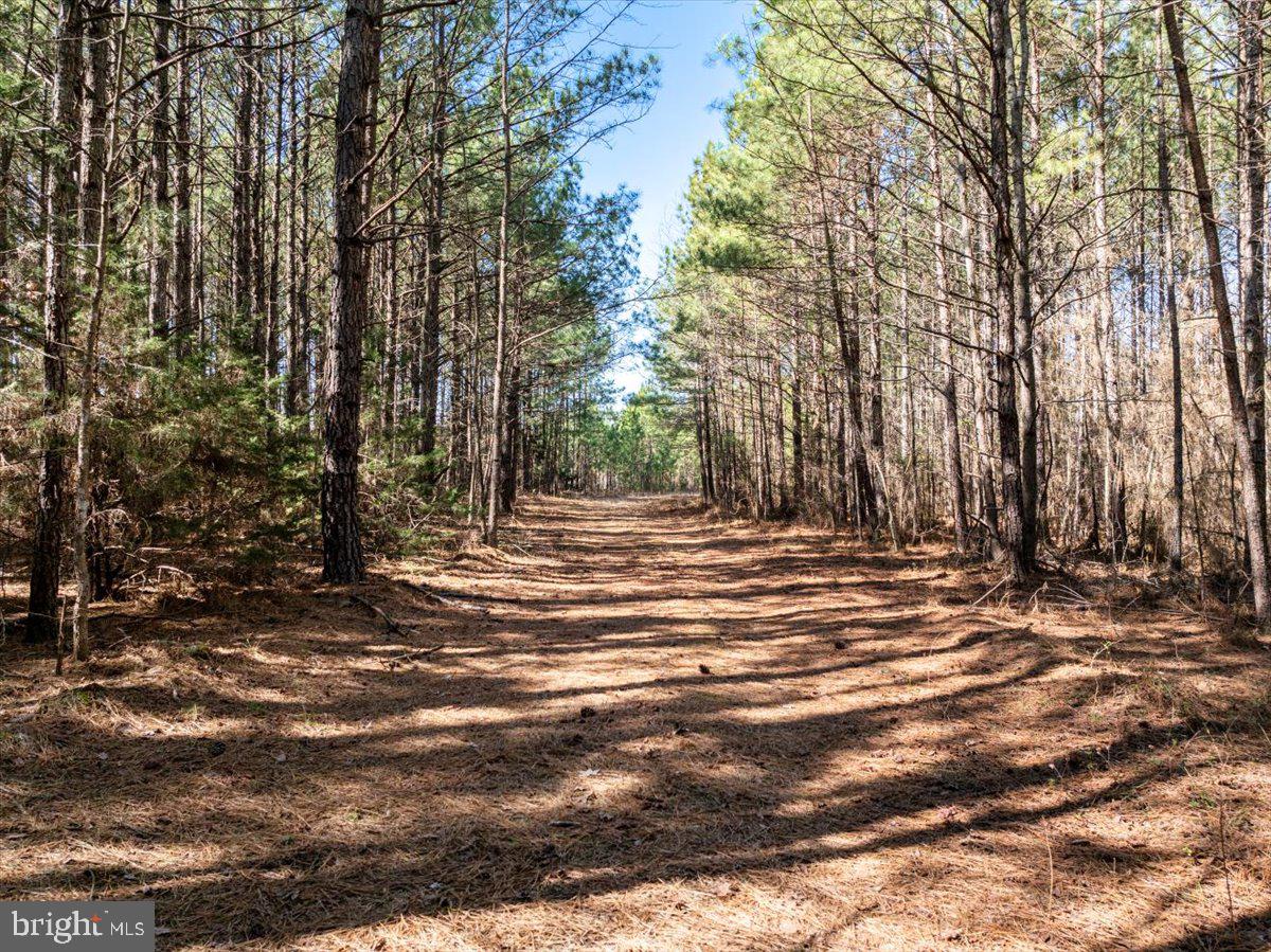 NONE AVAILABLE - Land